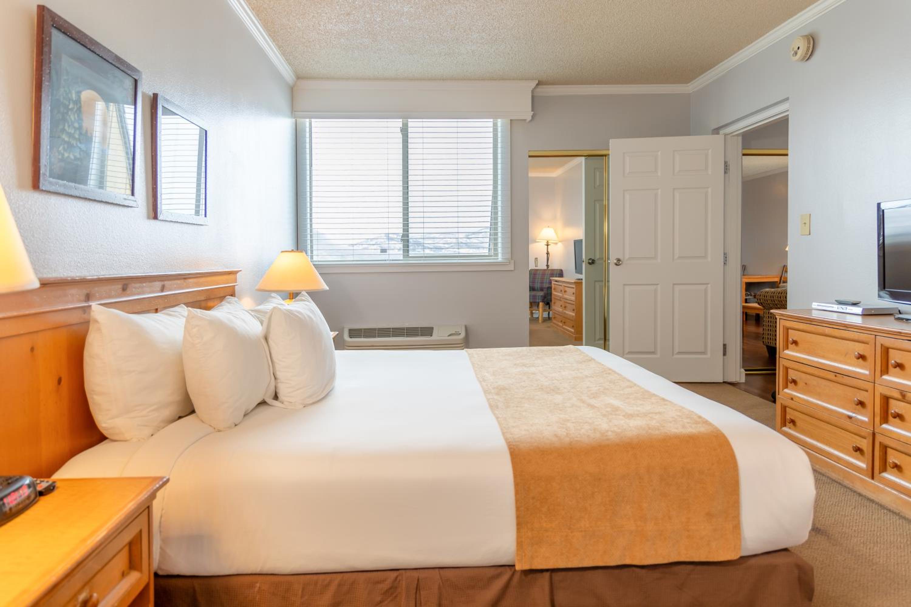 One Bedroom Suite - Photo 10