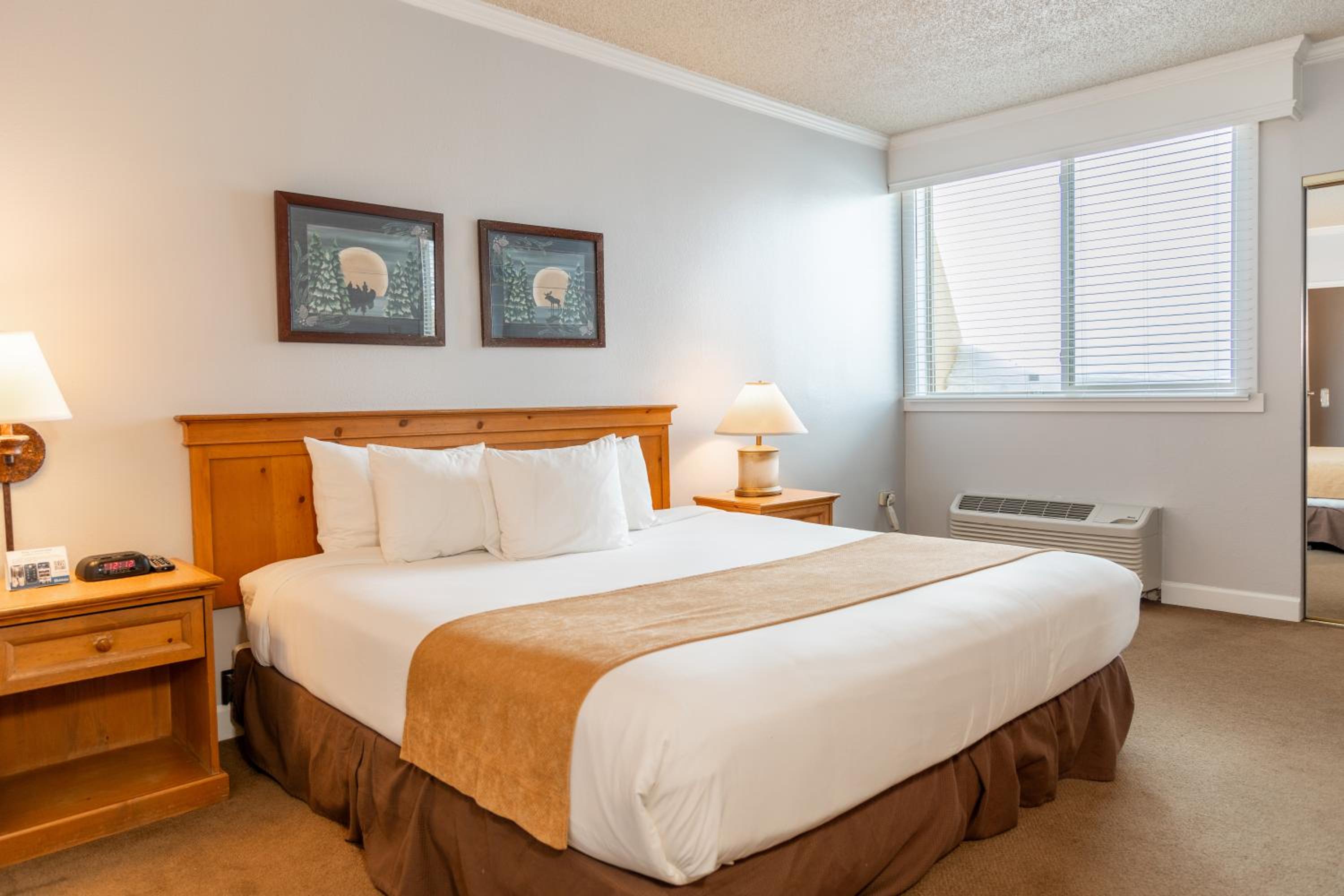 One Bedroom Suite - Photo 23