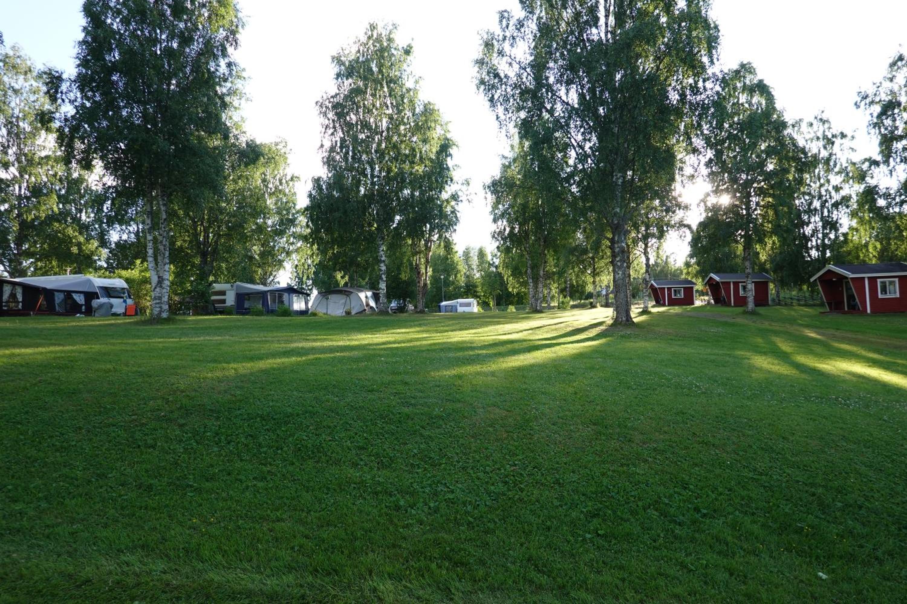 Empty Lot photo 2