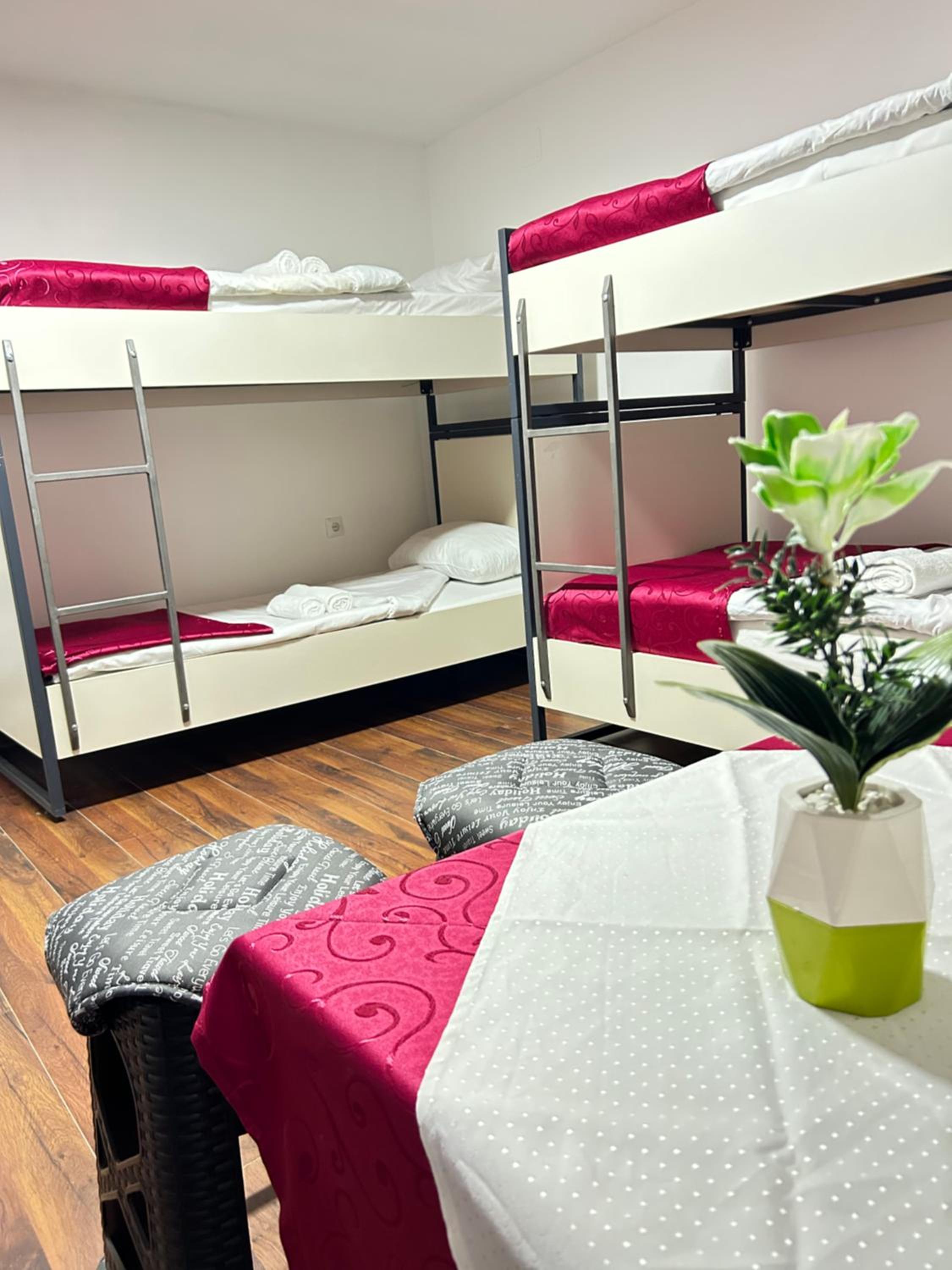 Single Bed in Mixed Dormitory Room