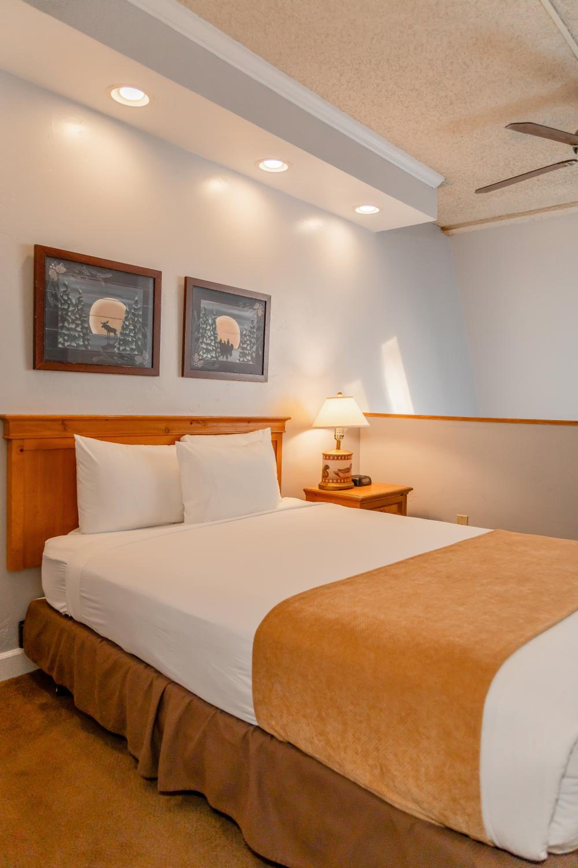 One-Bedroom with Loft - Photo 13