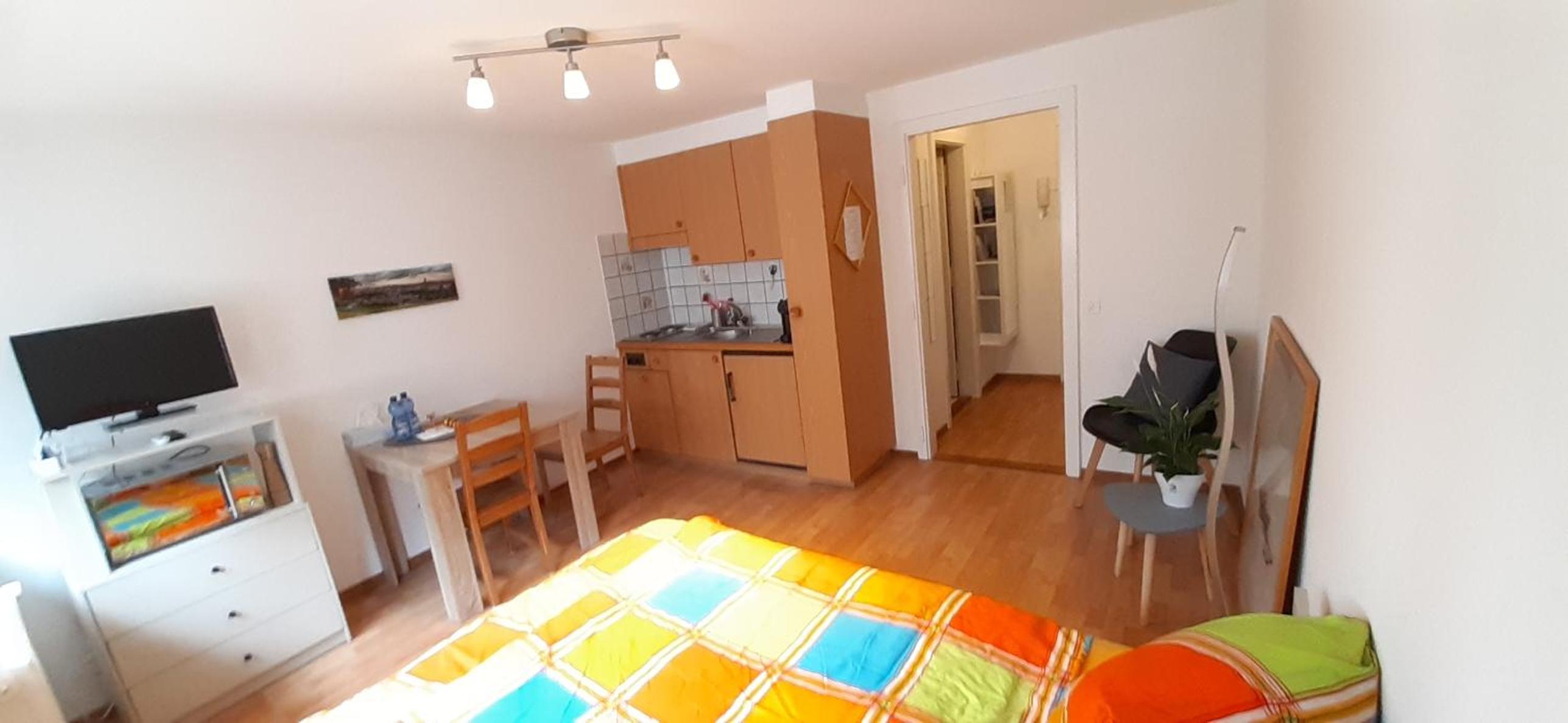 One-Bedroom Apartment photo 2