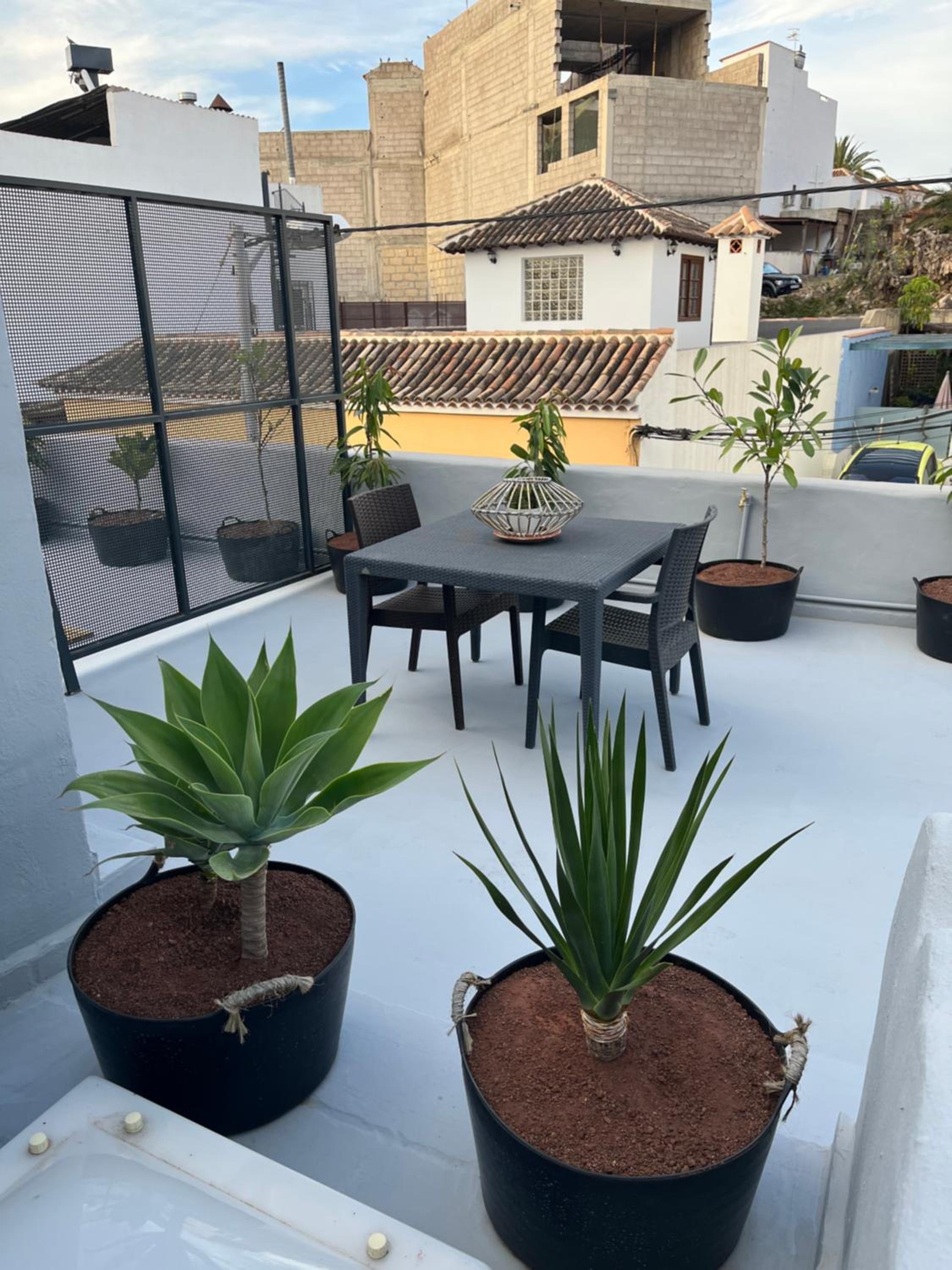 Apartment - Ground Floor photo 3