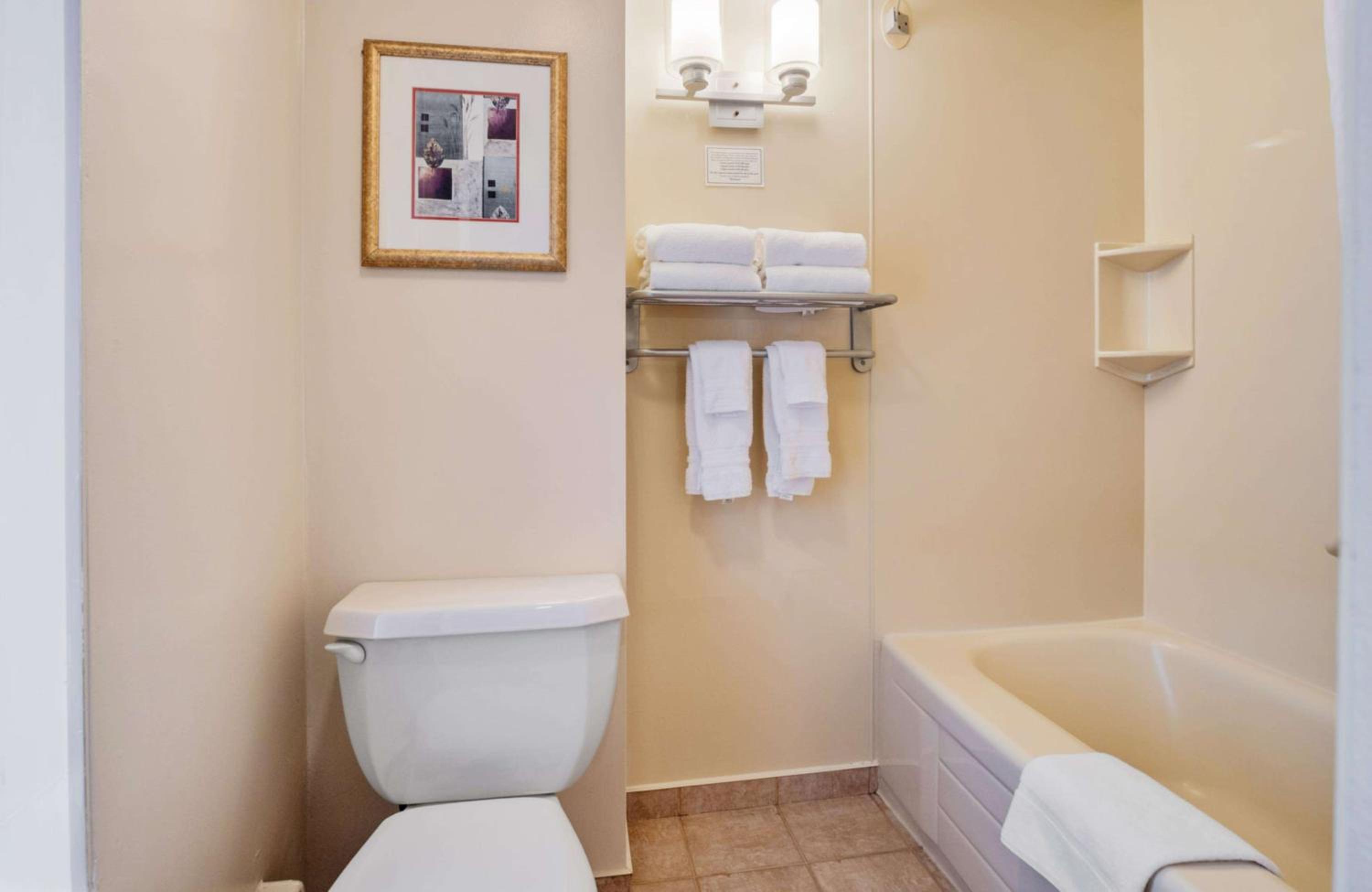 Queen Room with Two Queen Beds - Patio Access - Photo 2
