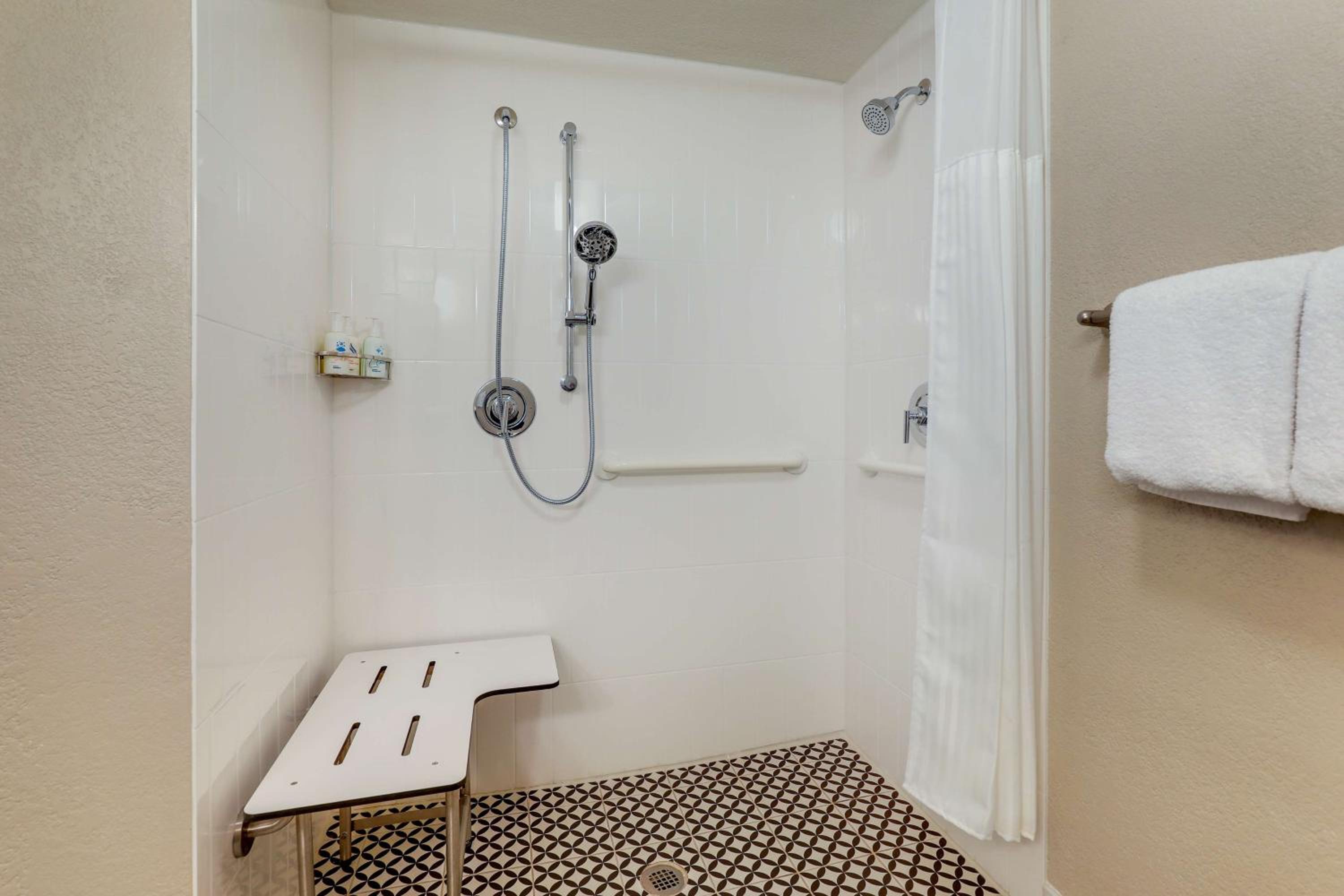 Mobility/Hearing Accessible Guestroom King Roll-In Shower - Photo 6