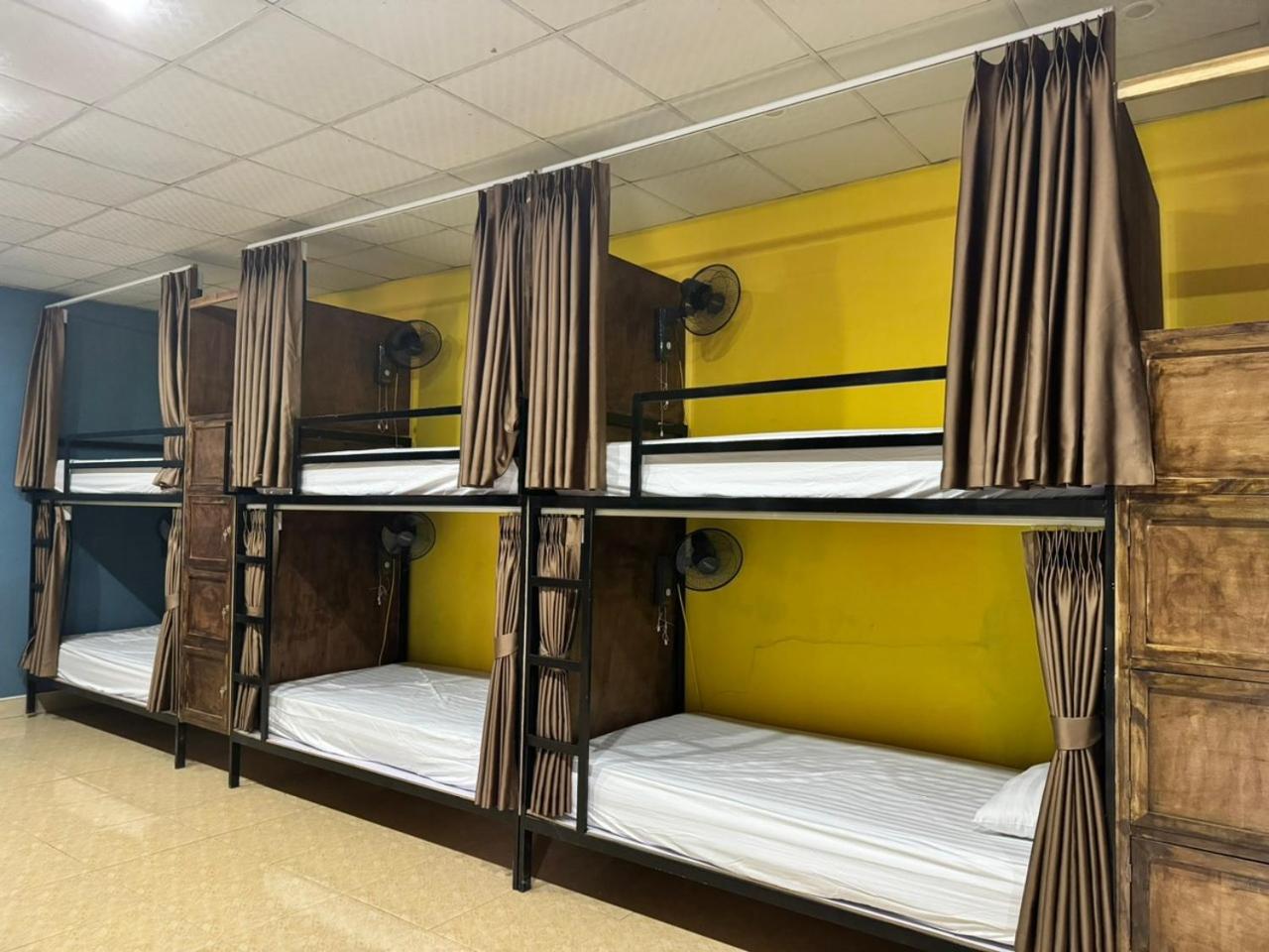 Bunk Bed in Mixed Dormitory Room photo 2