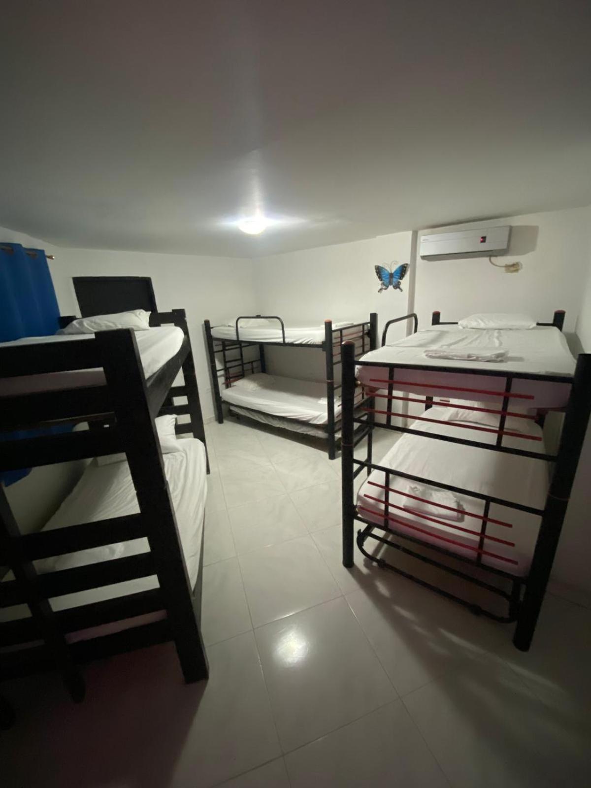 Bunk Bed In Mixed Dormitory Room photo 1