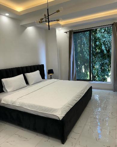 Two-Bedroom Standard Apartment photo 2