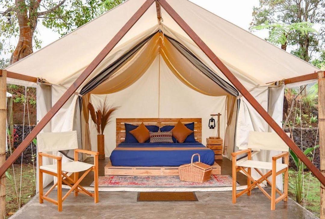 Danu - Glamping - Photo 2
