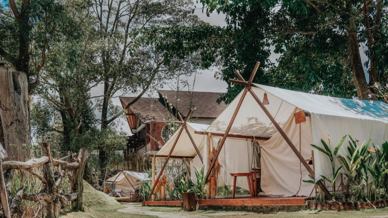 Danu - Glamping - Photo 17