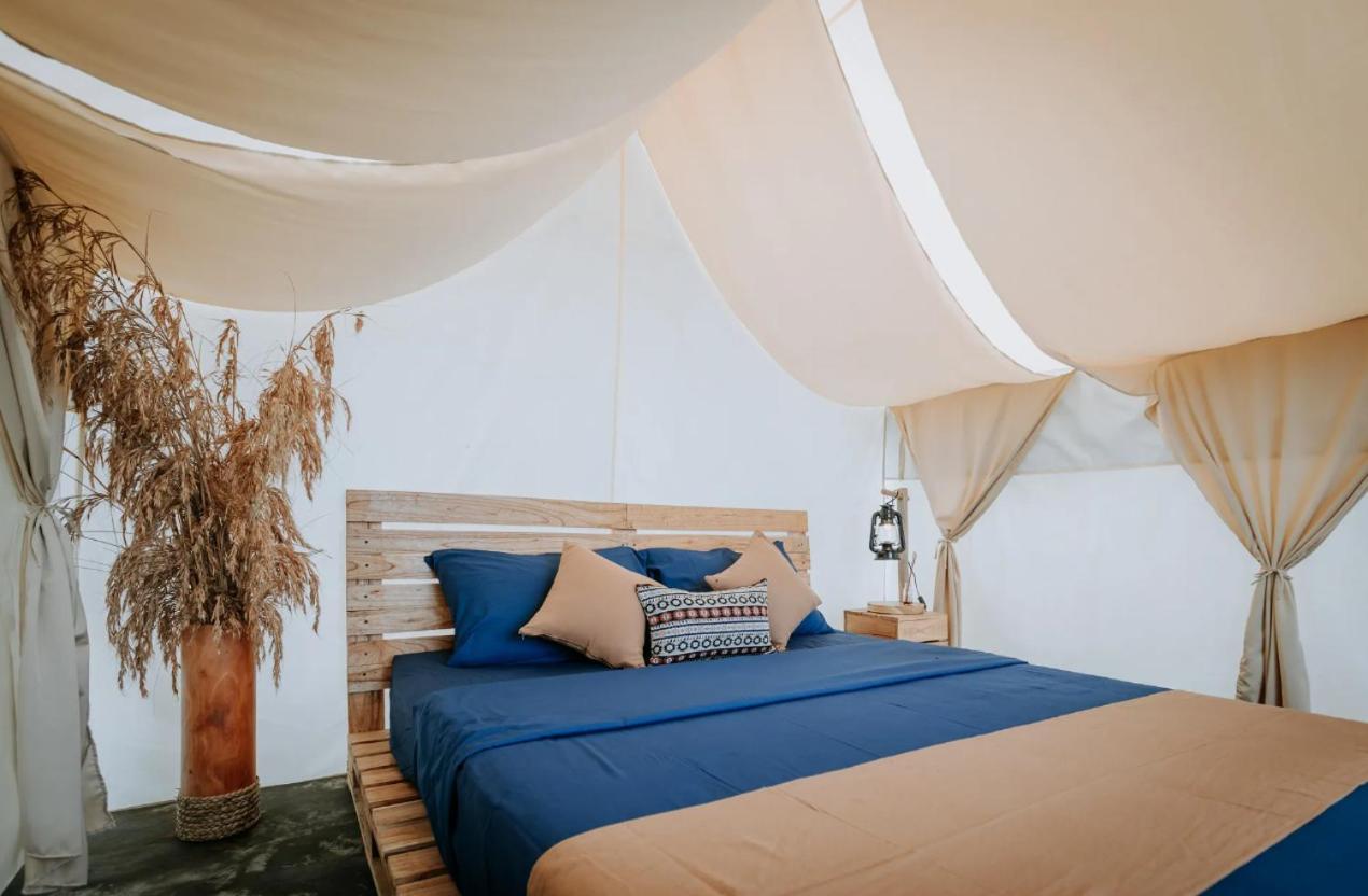 Danu - Glamping - Photo 1