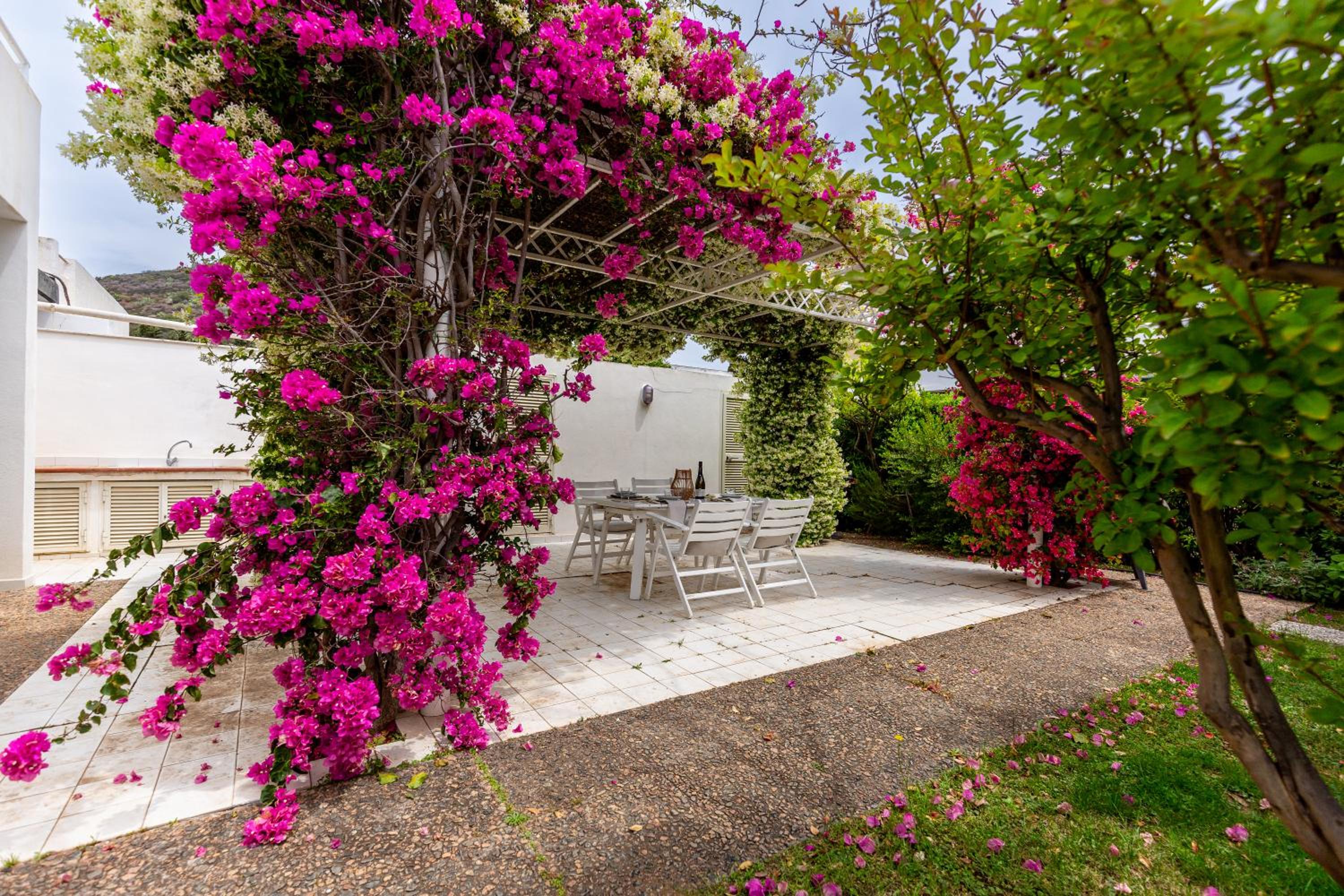 Three-Bedroom Villa photo 2