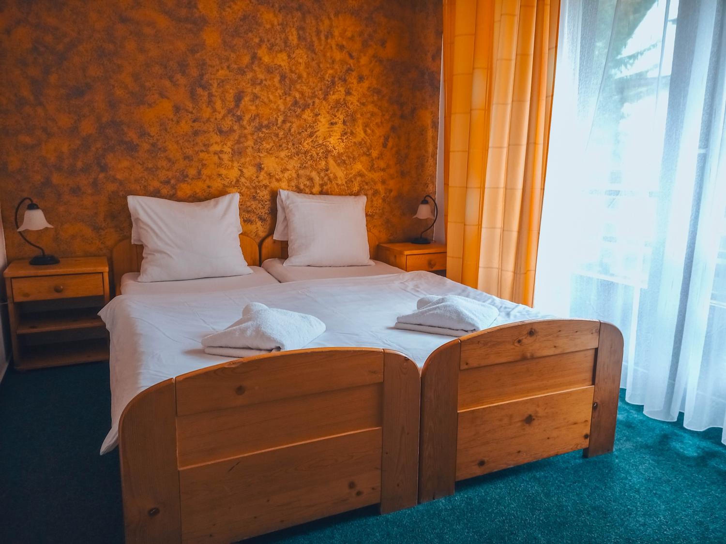 Double or Twin Room photo 3