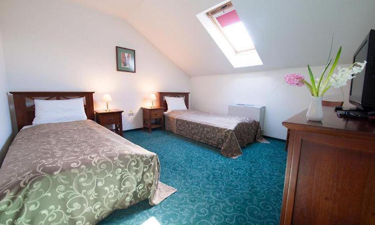 Twin Room photo 2