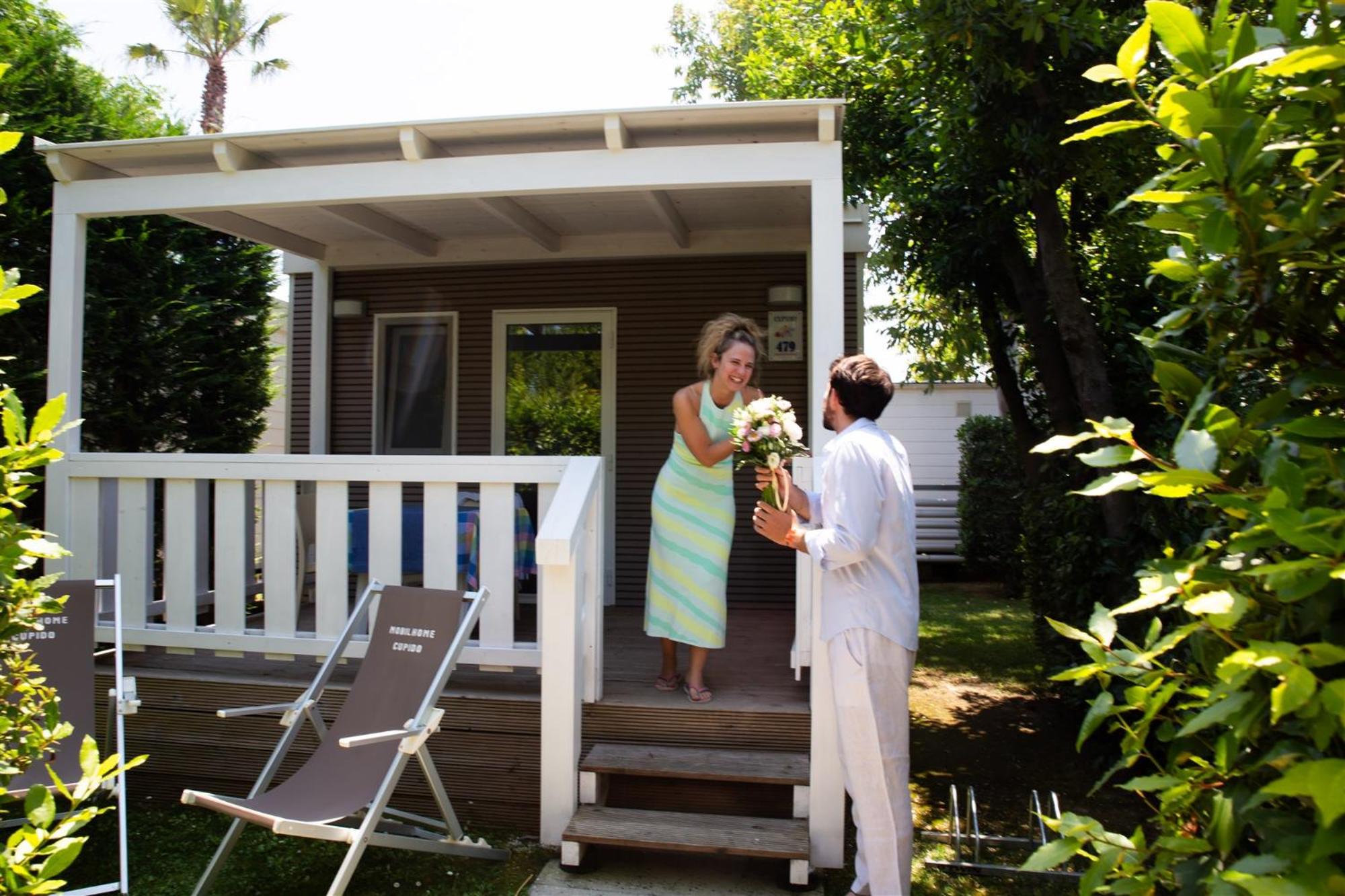 Mobile Home photo 3