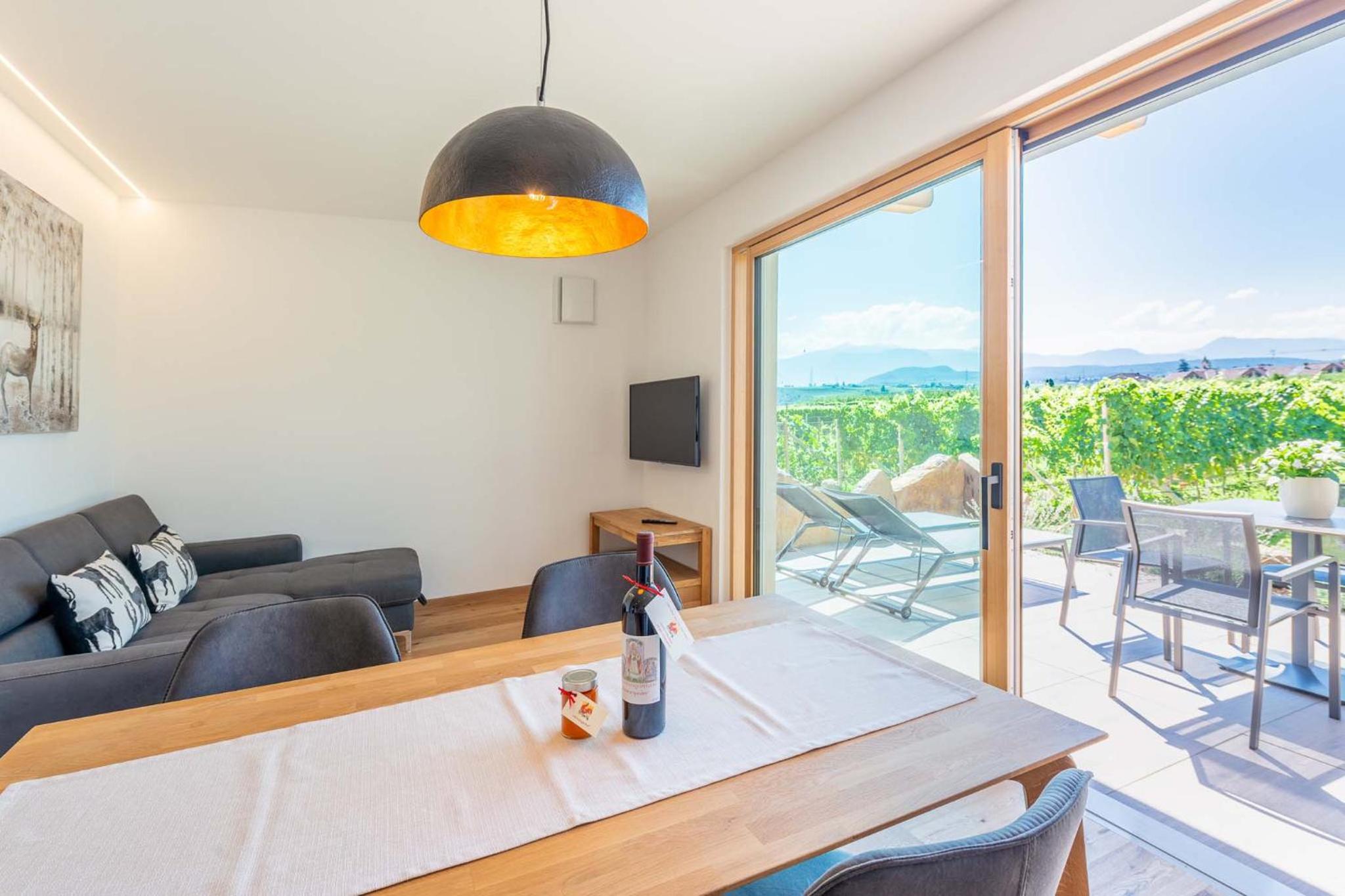 Superior Apartment with Sauna photo 2