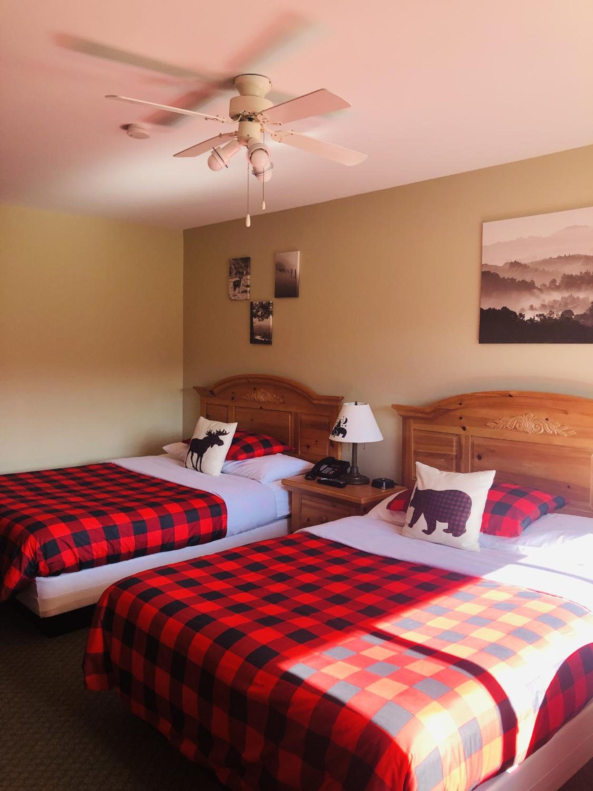 Room with Two Queen Beds photo 1
