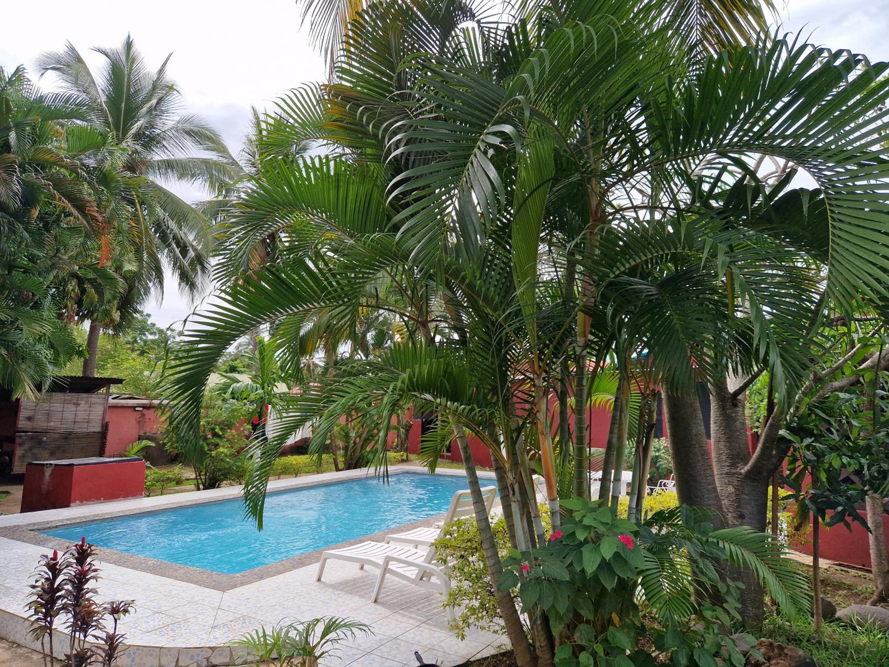 Double Room With Pool View photo 2