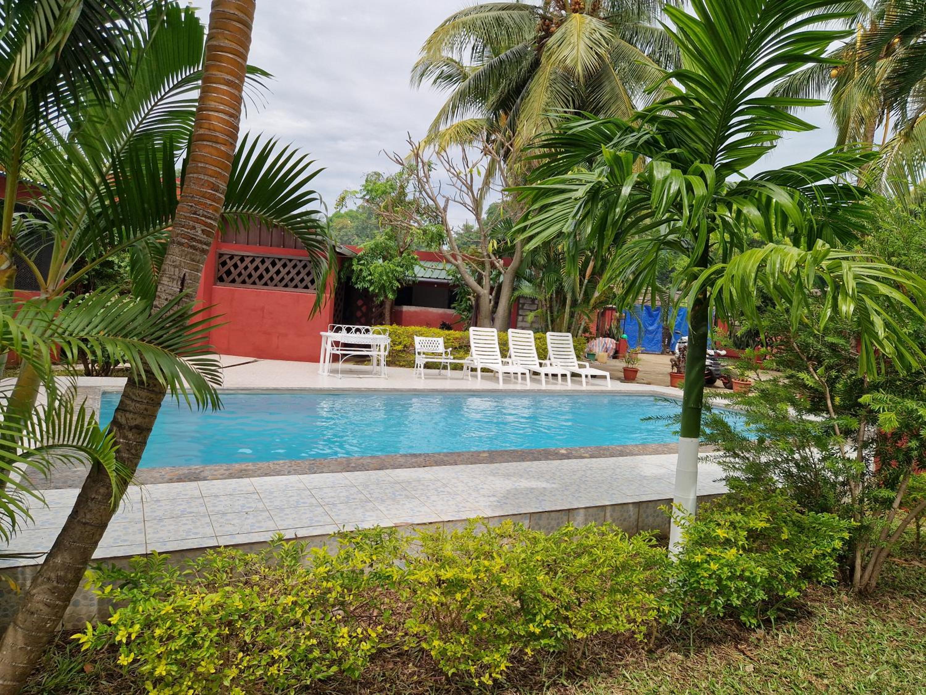 Double Room With Pool View photo 1