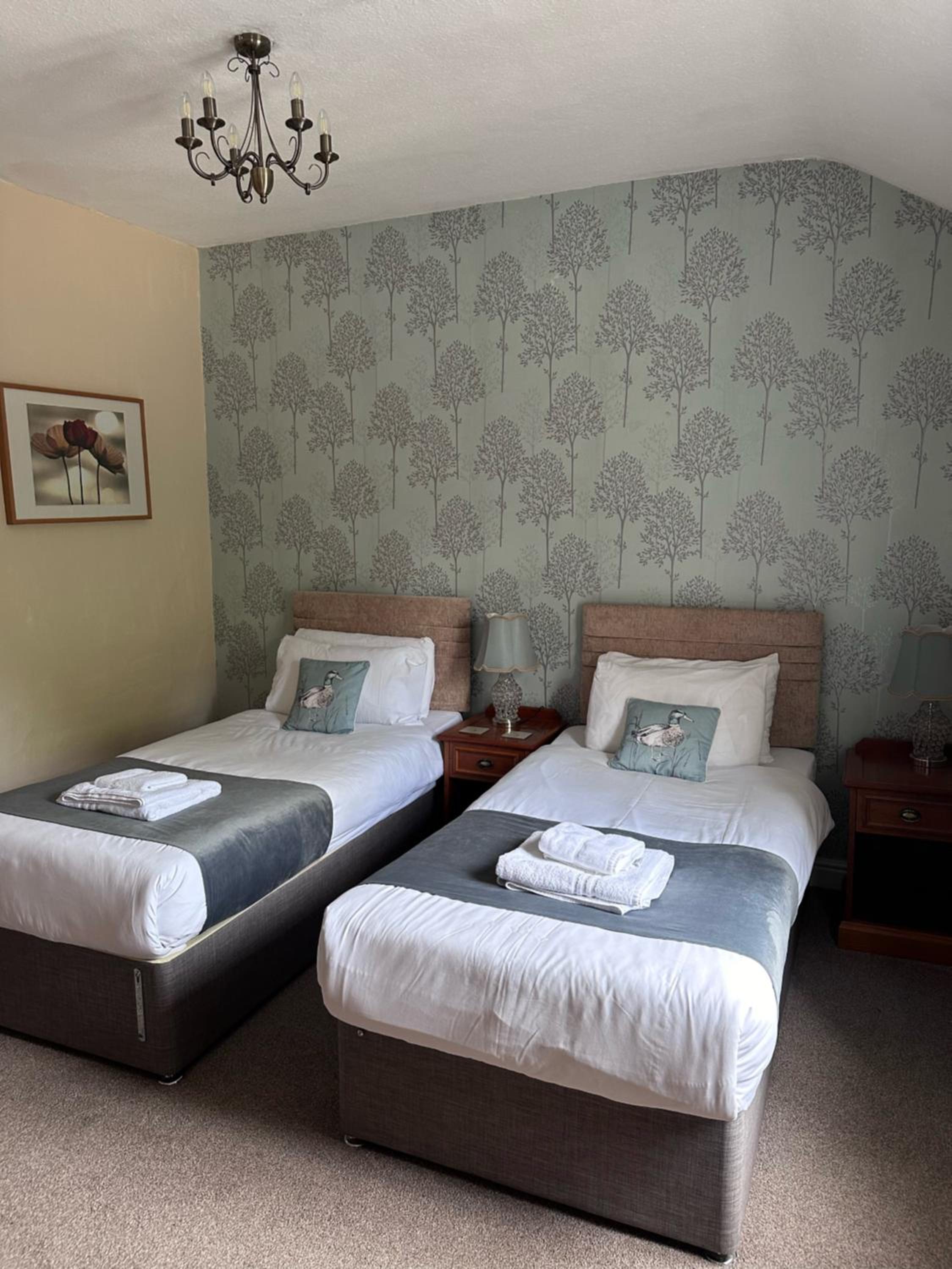 Main Lodge - Twin Room - Photo 1