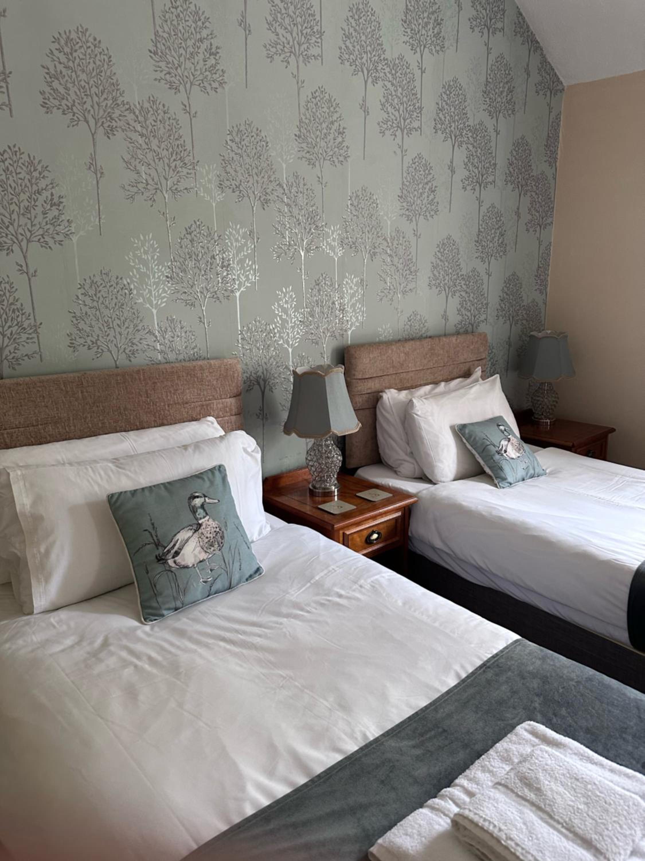 Main Lodge - Twin Room - Photo 3