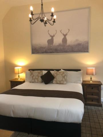 King Room - Photo 3
