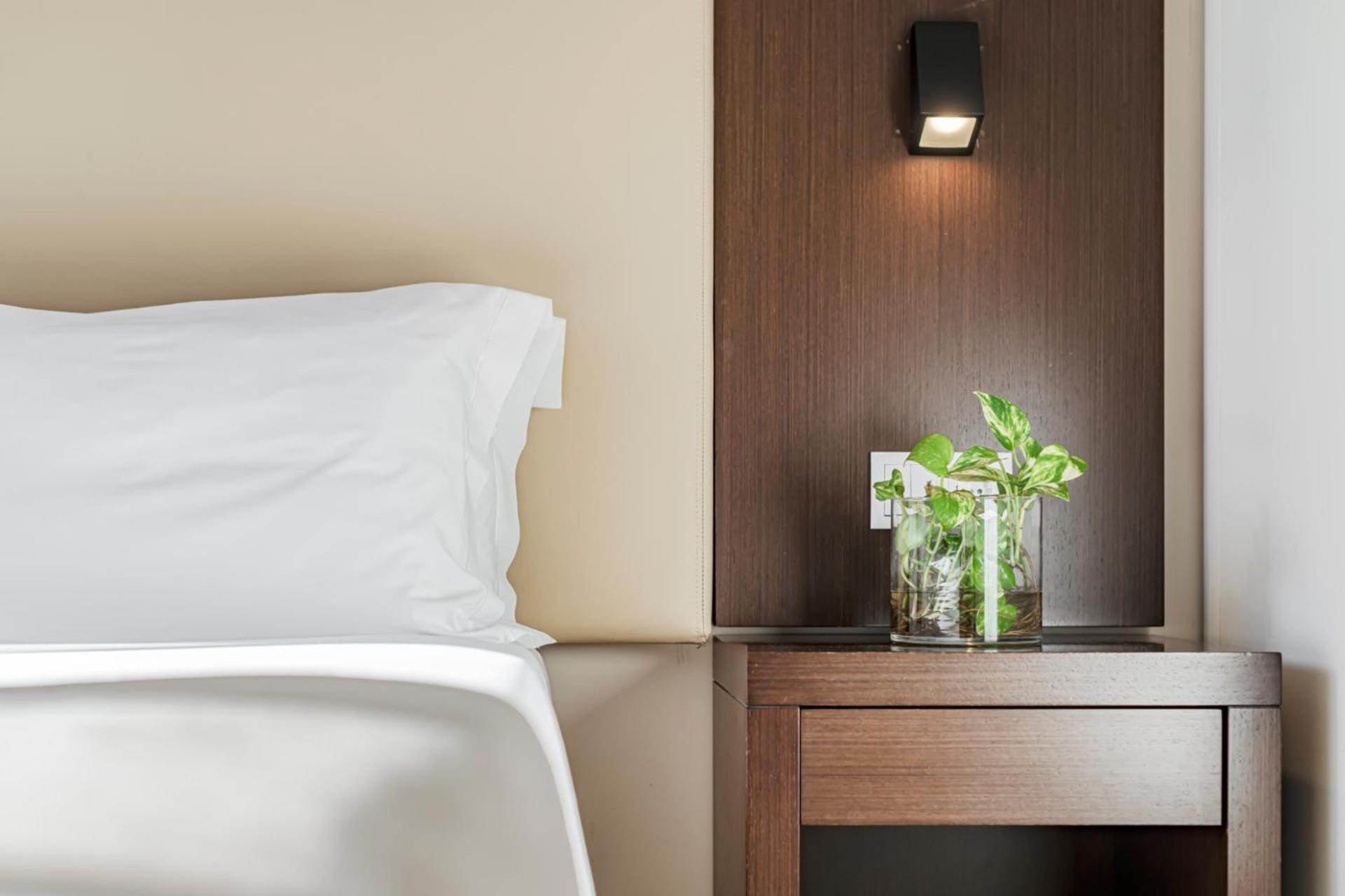 Superior Suite - Photo 5