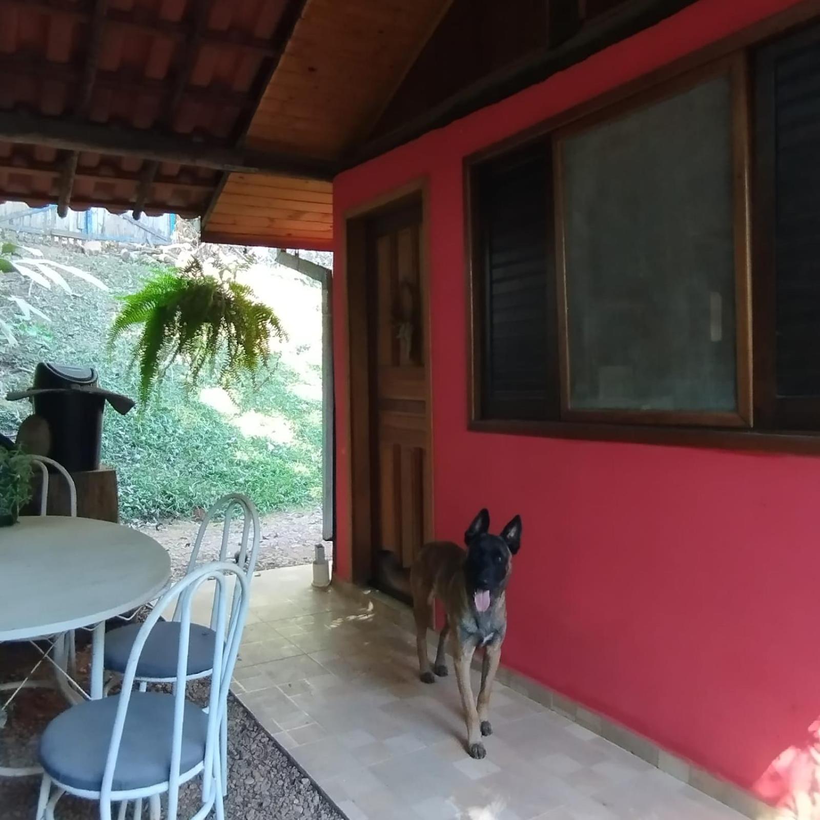 Family Suite photo 3