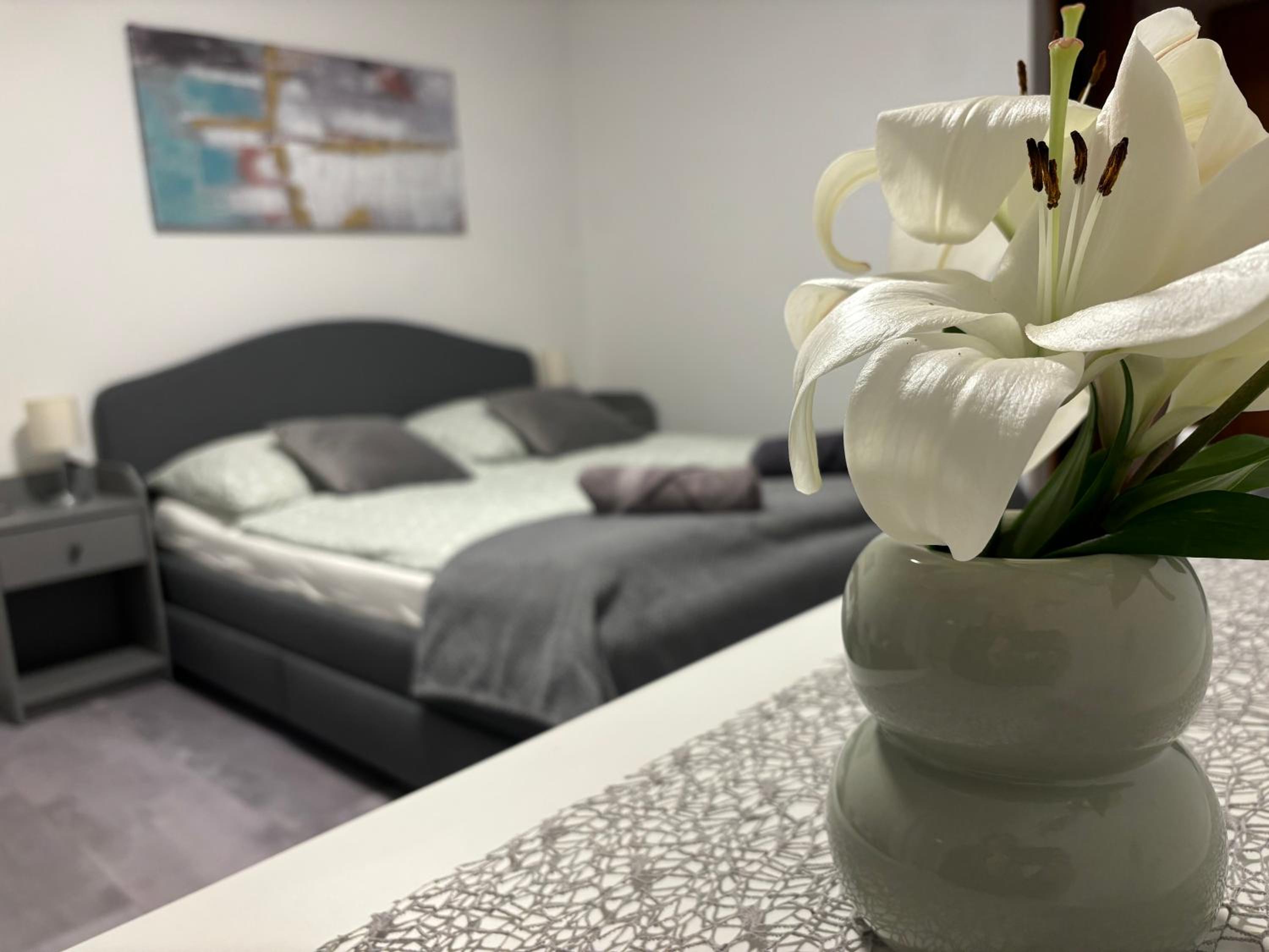 Large Double Room