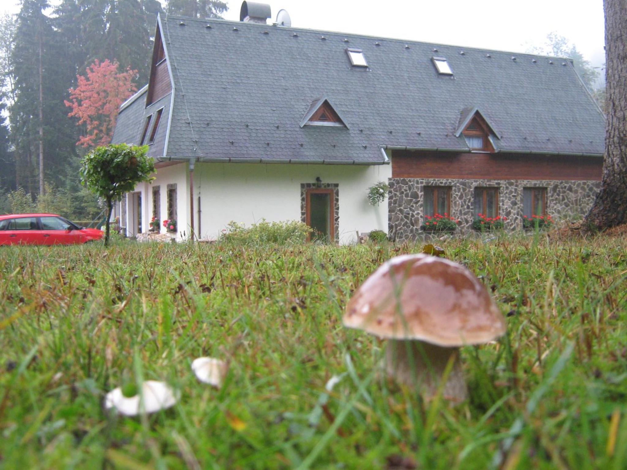 Chalet photo 3