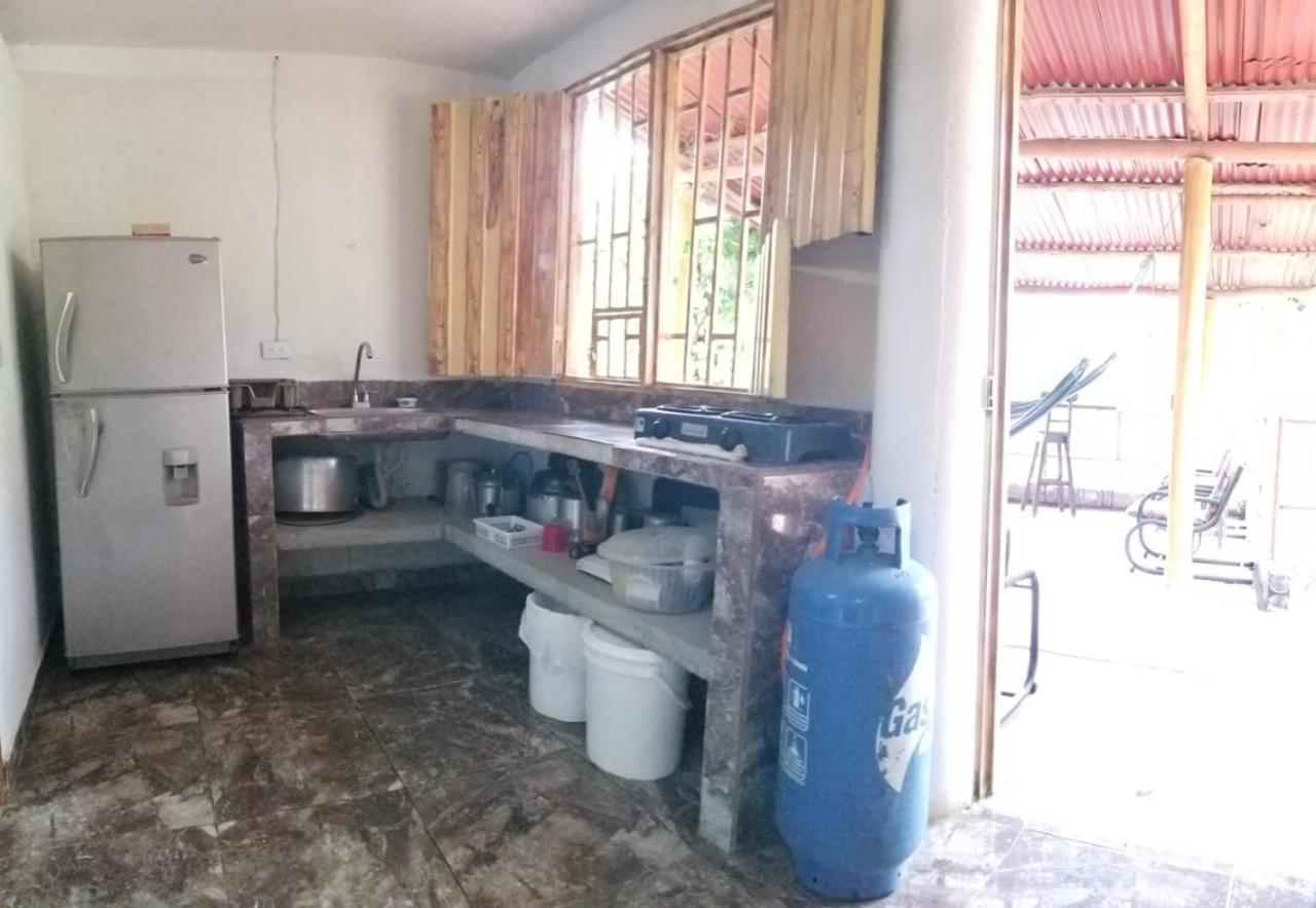 Apartment - Ground Floor photo 2