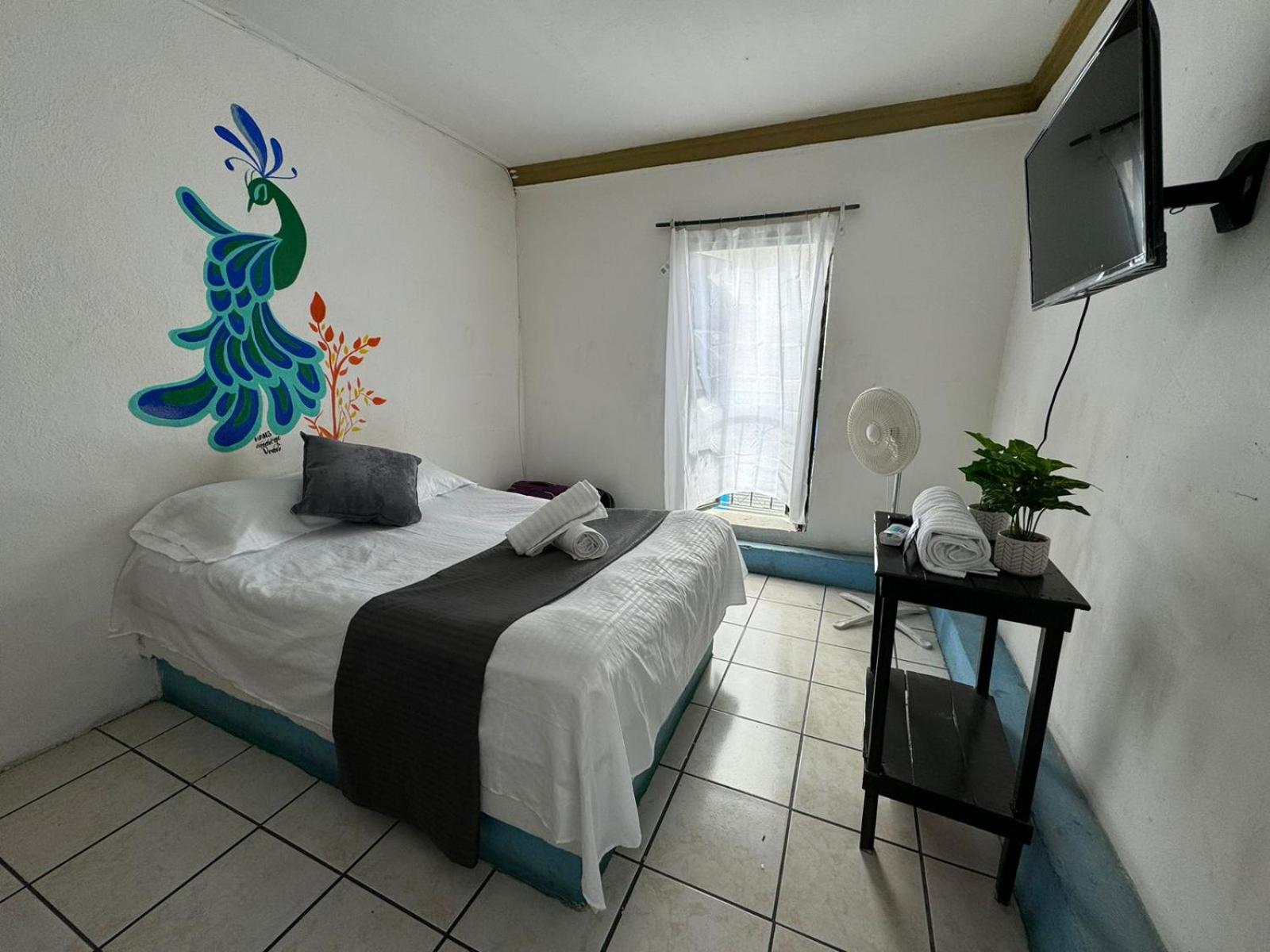 Comfort Triple Room photo 1