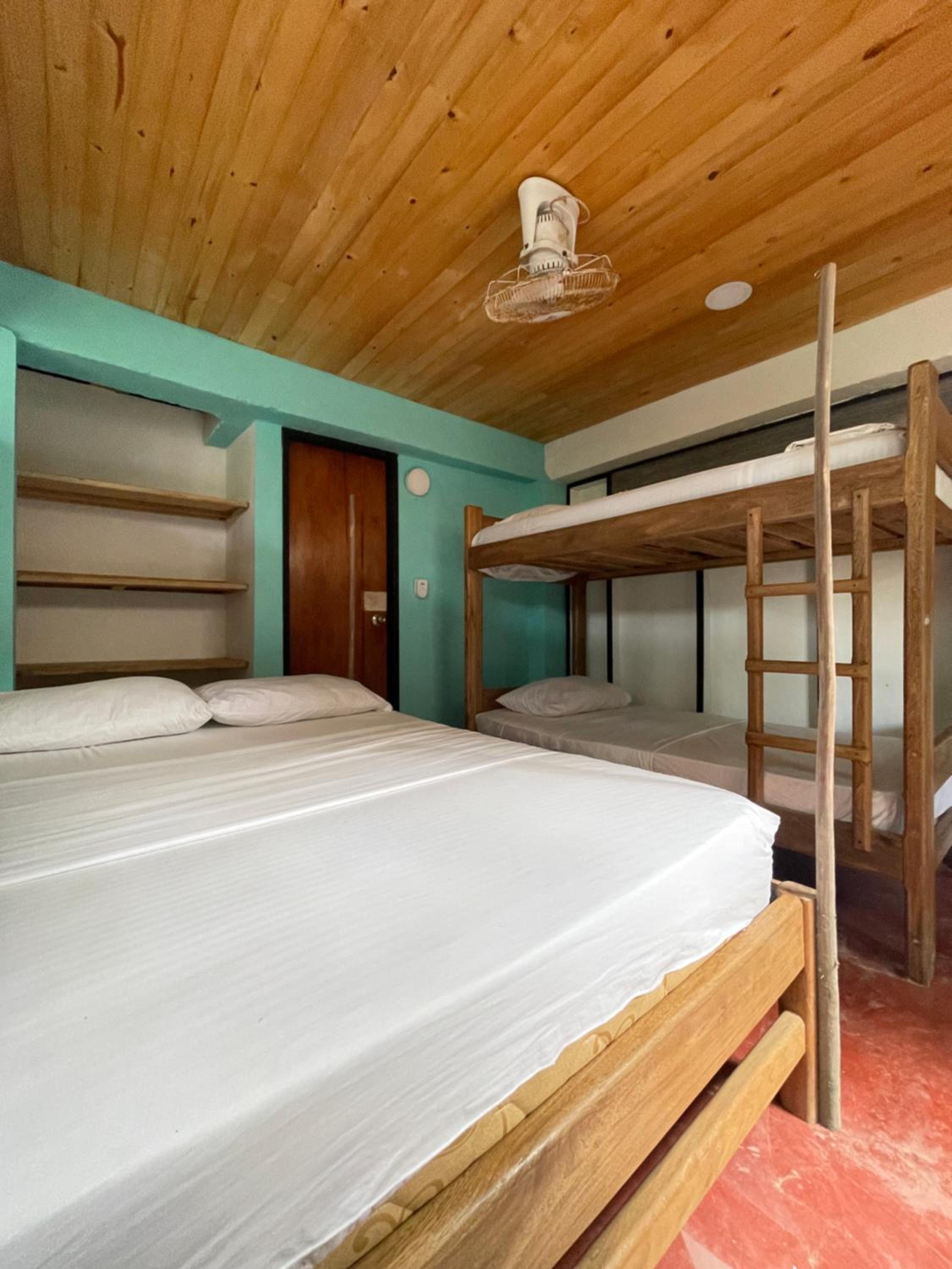 Double or Twin Room photo 3