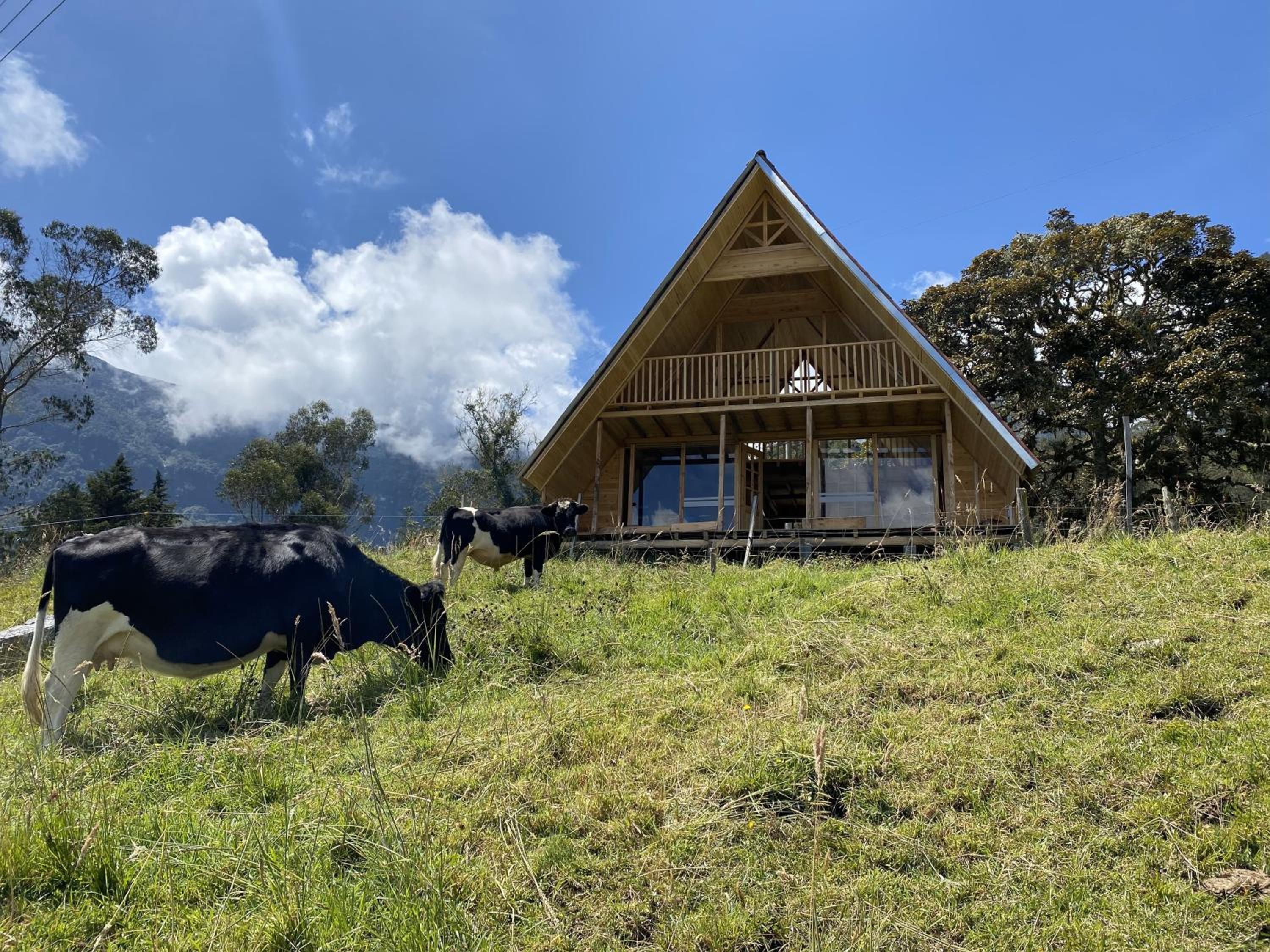 Two-Bedroom Chalet photo 1