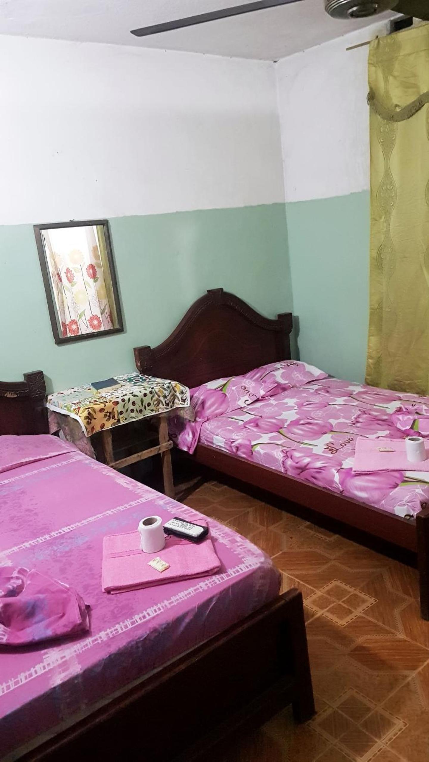Twin Room photo 1