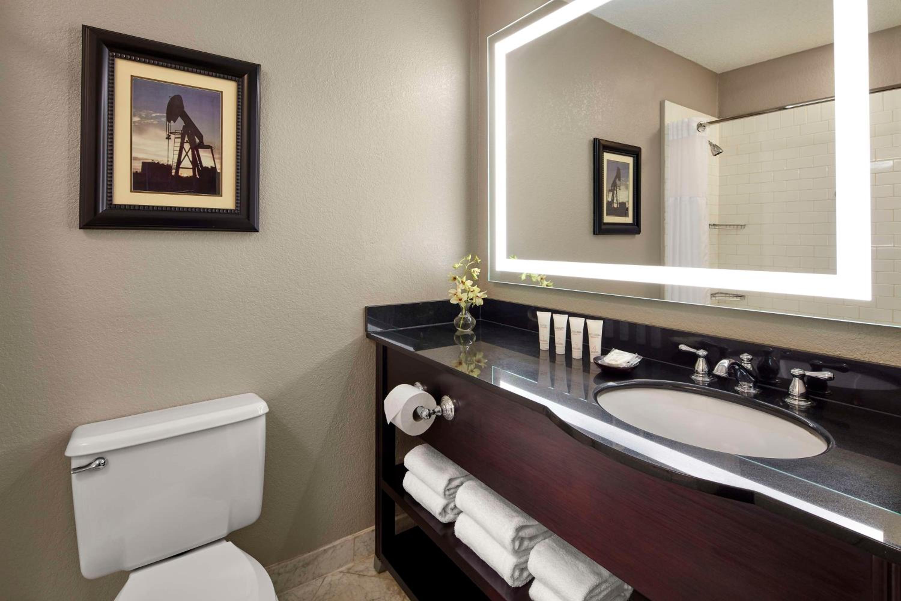 King Room - Club Access - Photo 9