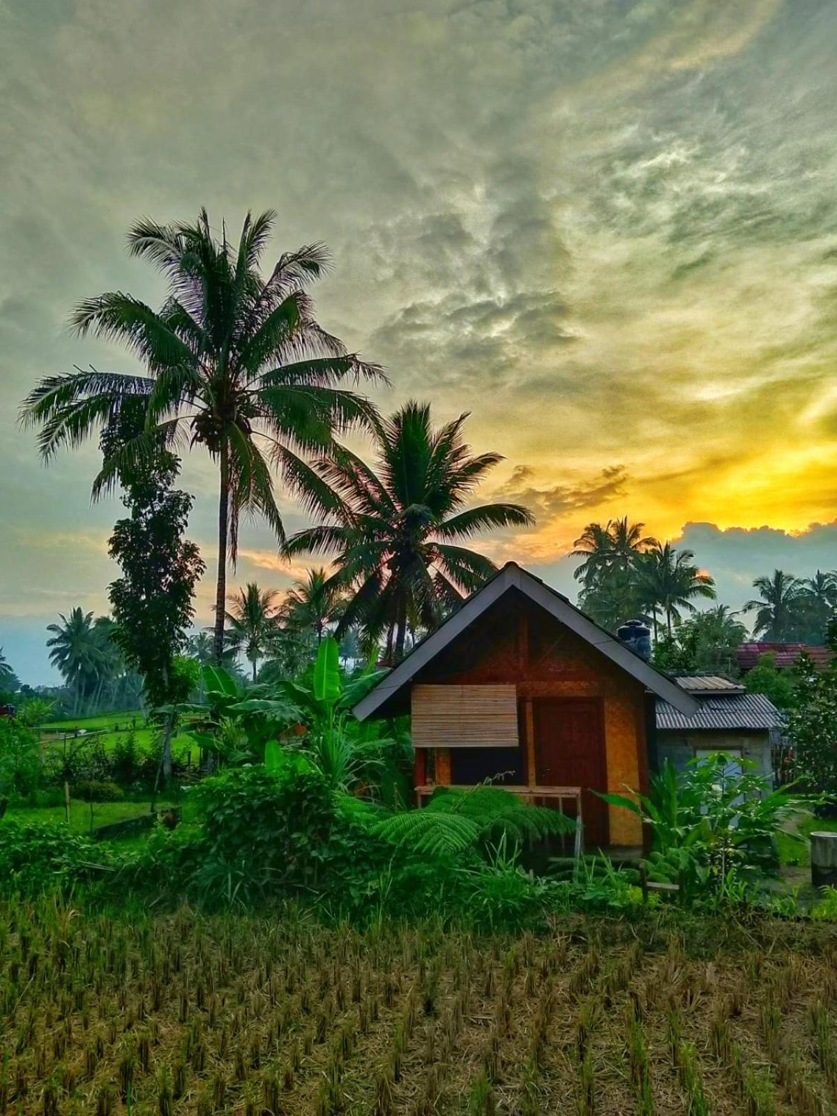 Double Room with Garden View photo 2