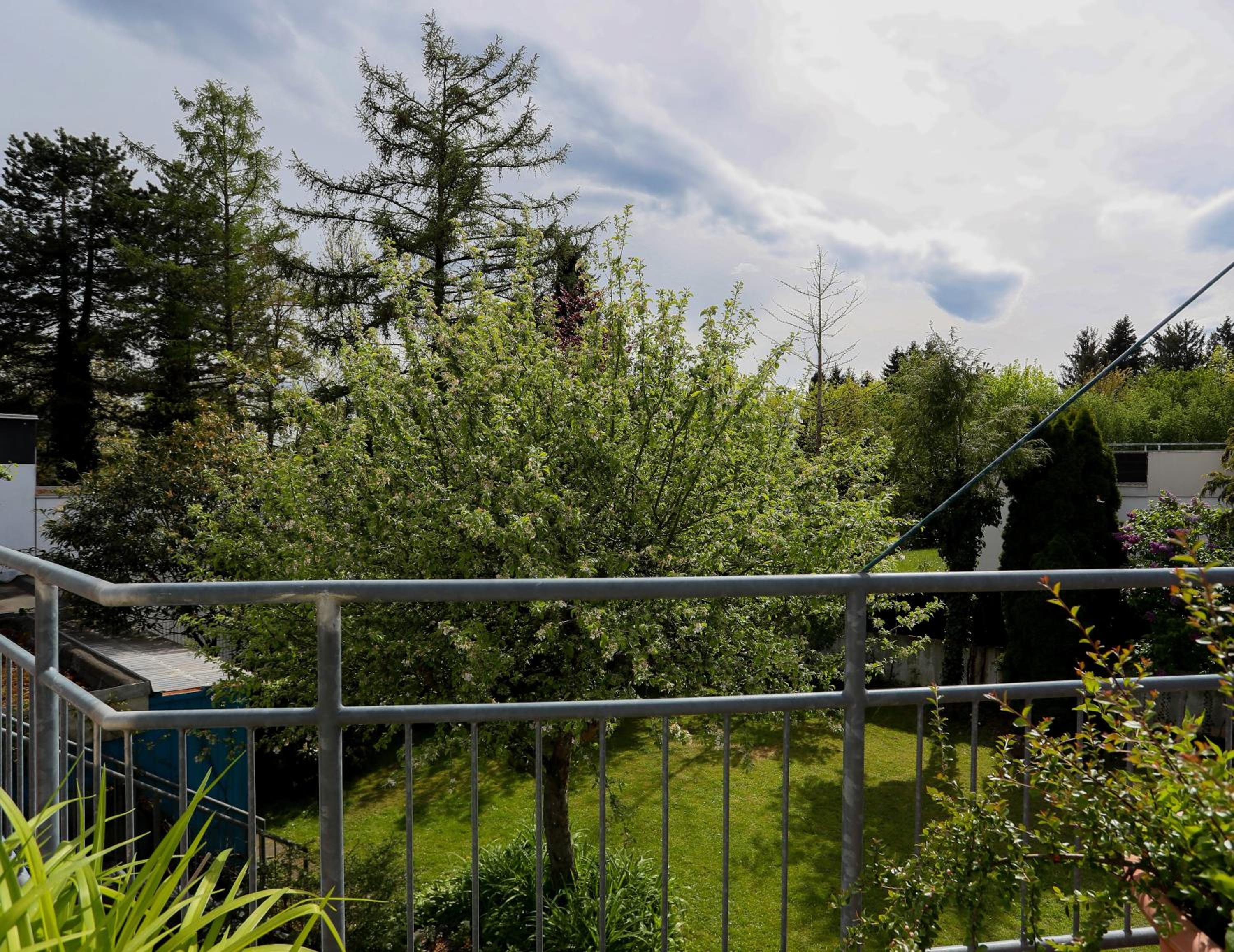 Apartment with Terrace photo 2
