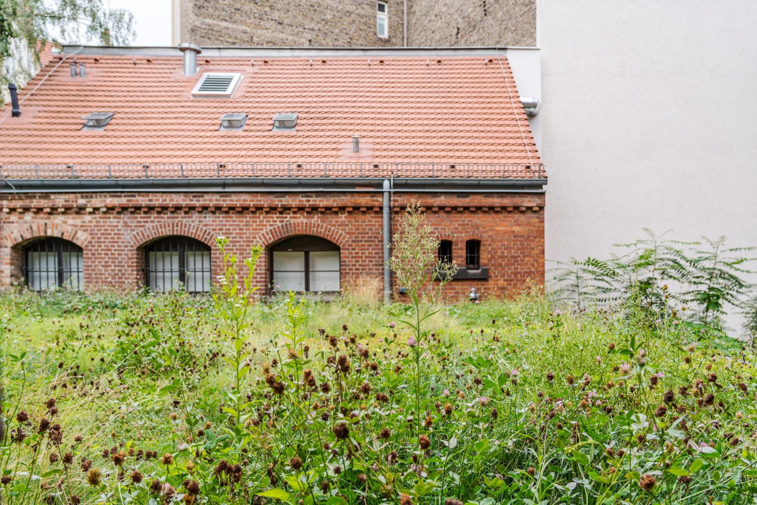 Klassische Gartenansicht Klassische Gartenansicht