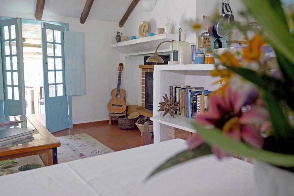 One-Bedroom House photo 2
