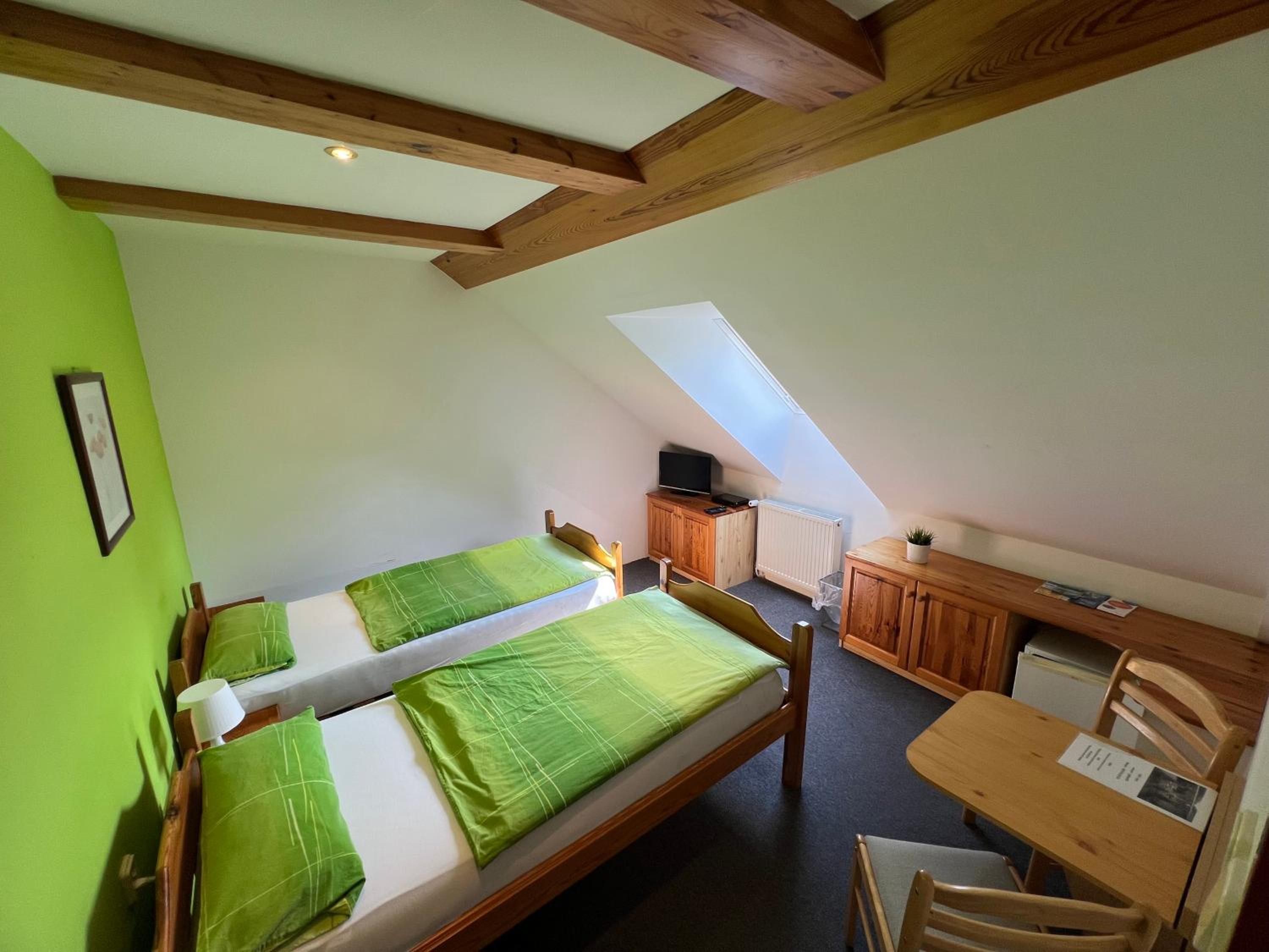 Double or Twin Room photo 3