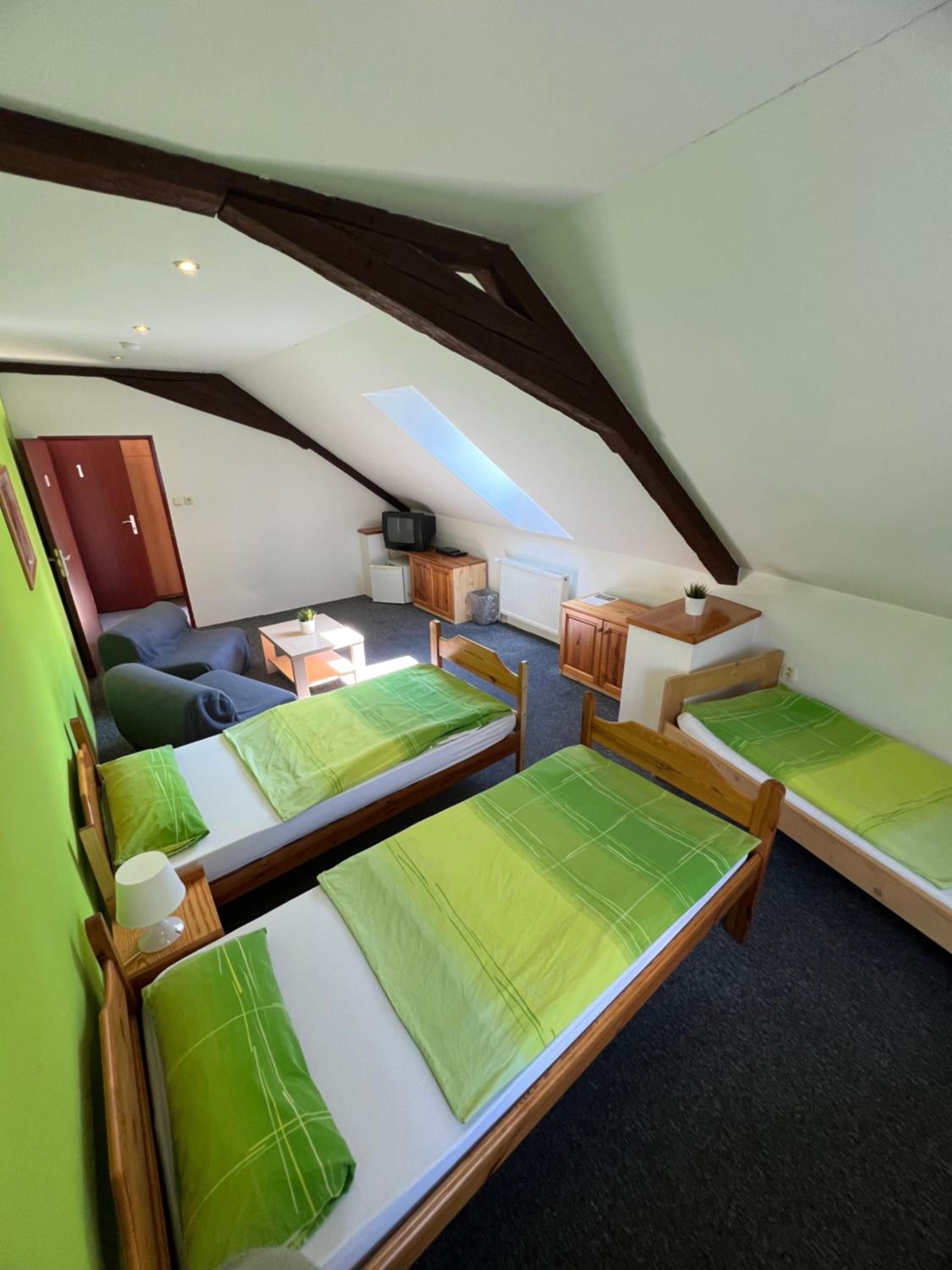Double or Twin Room with 2 Extra Beds Possible  photo 2