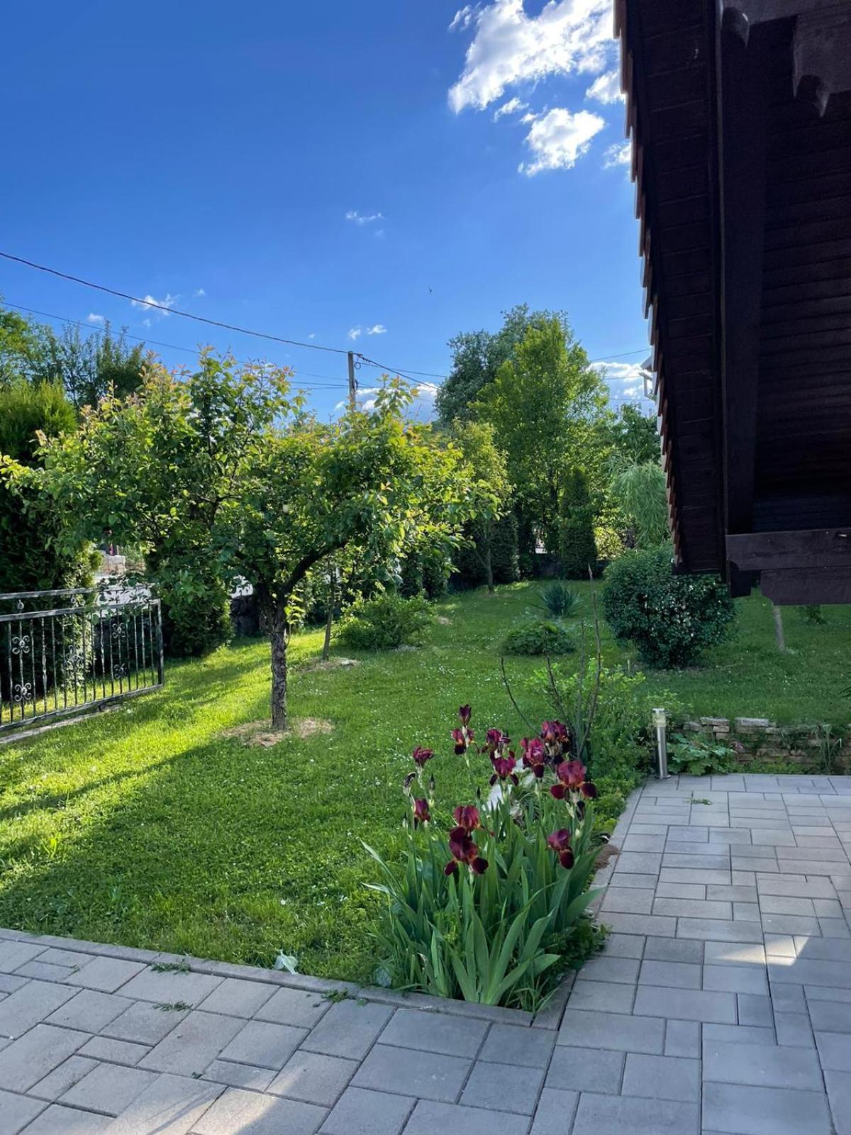 Two Bedroom Apartment with Terrace - Photo 36
