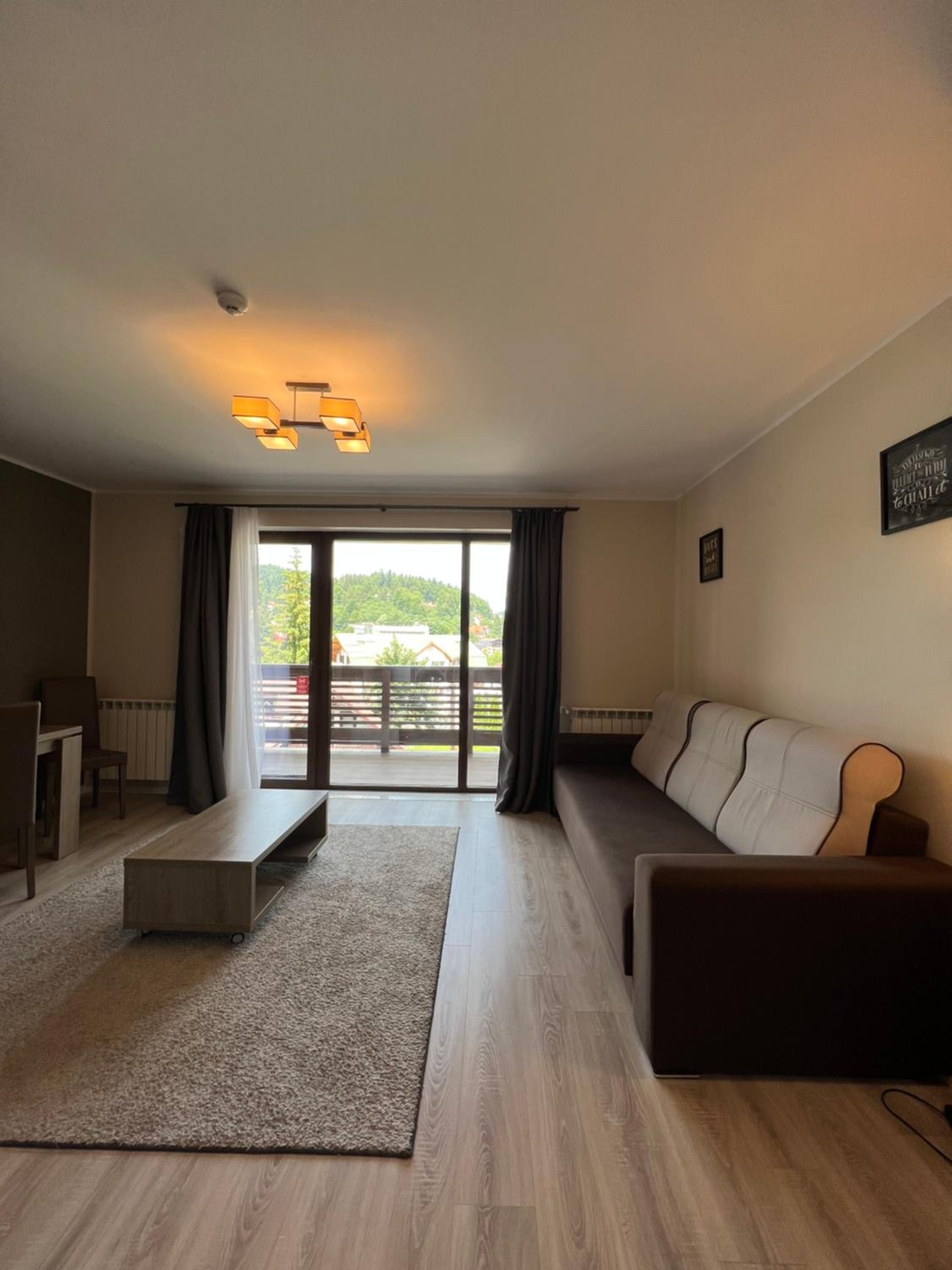 Apartment with Mountain View - First Floor - Photo 8