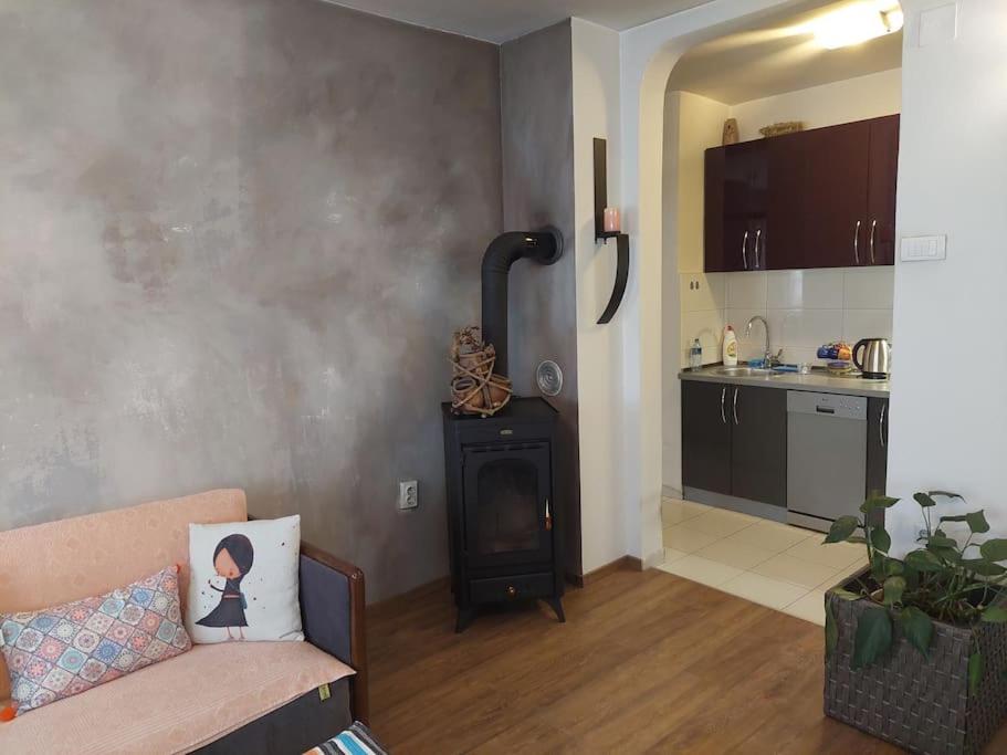 One-Bedroom Apartment photo 3