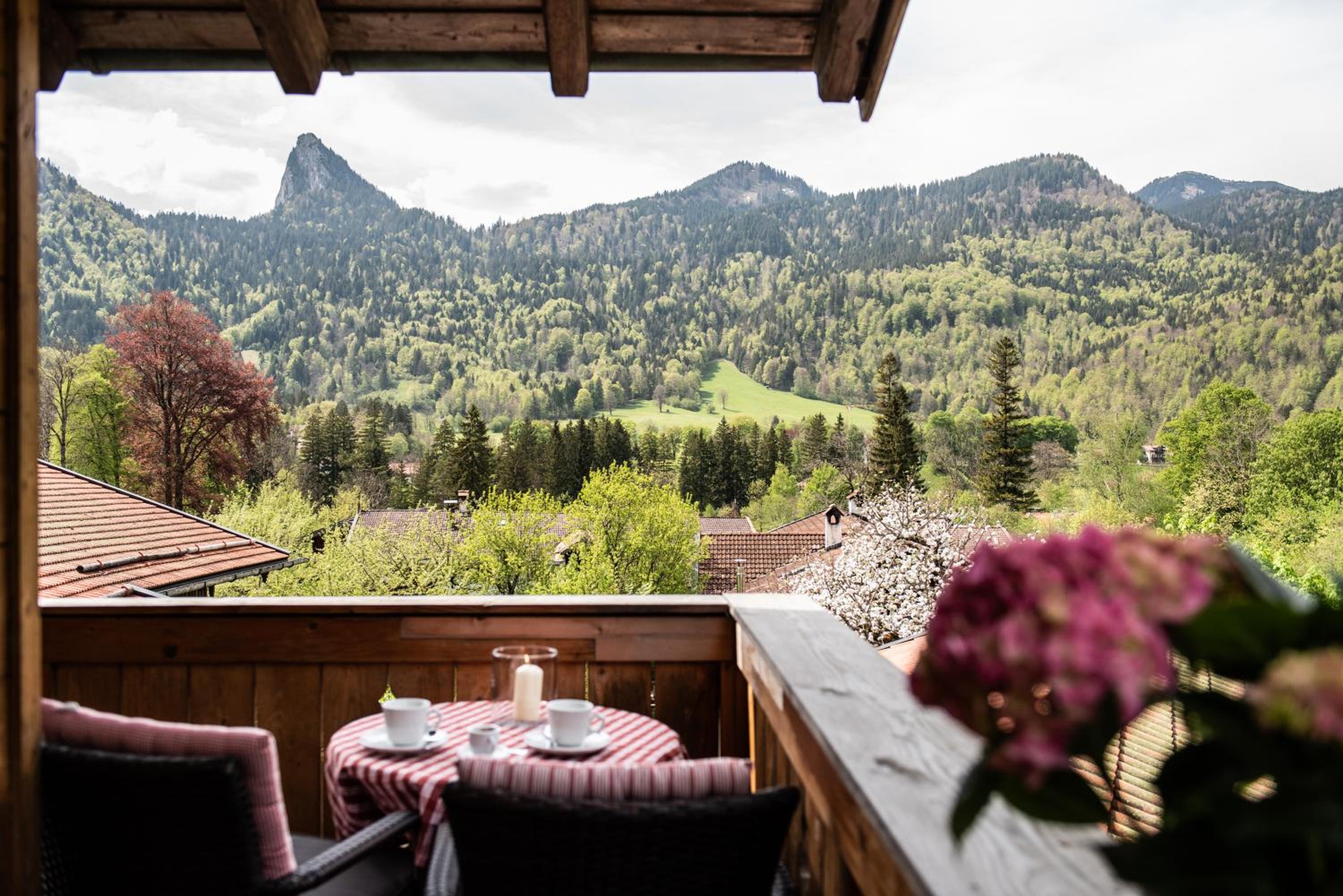 One-Bedroom Apartment with Balcony and Mountain View   photo 3