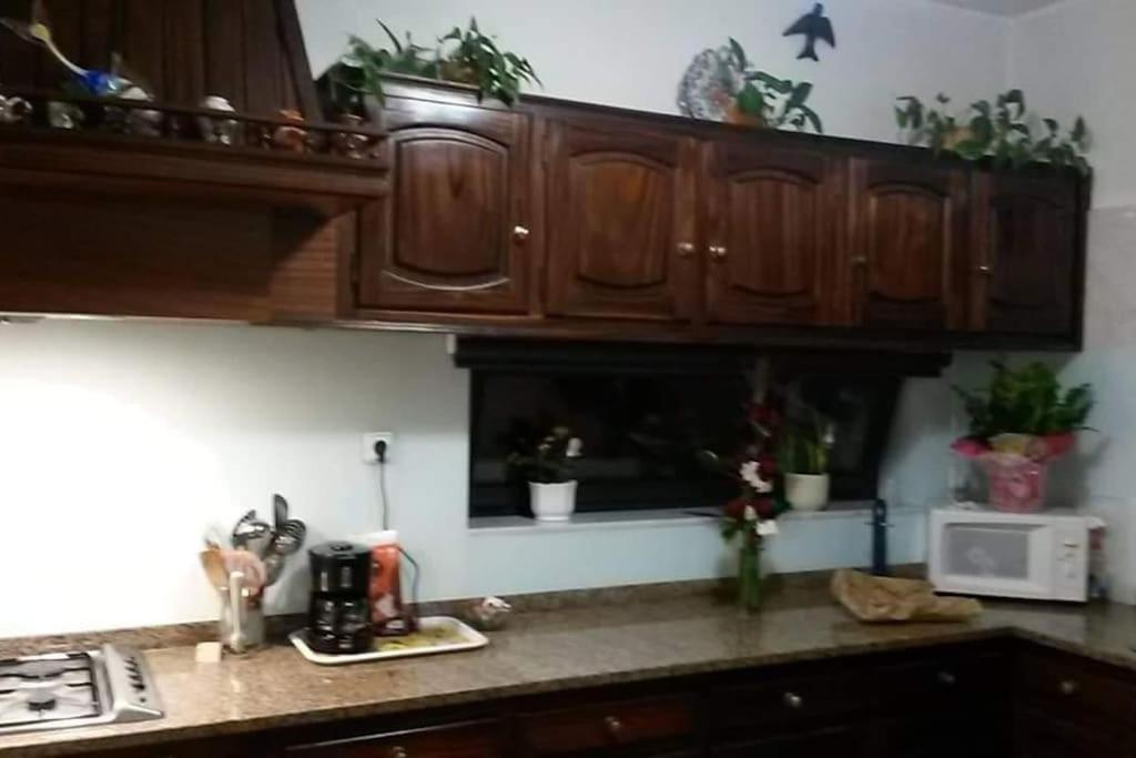 One-Bedroom House photo 2