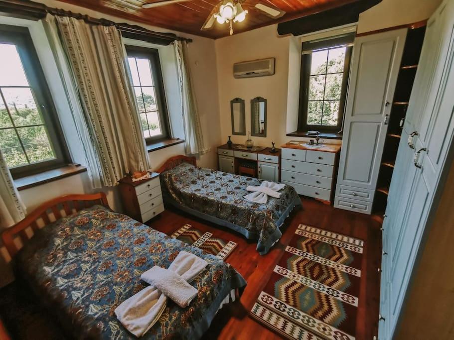 One-Bedroom Villa photo 1