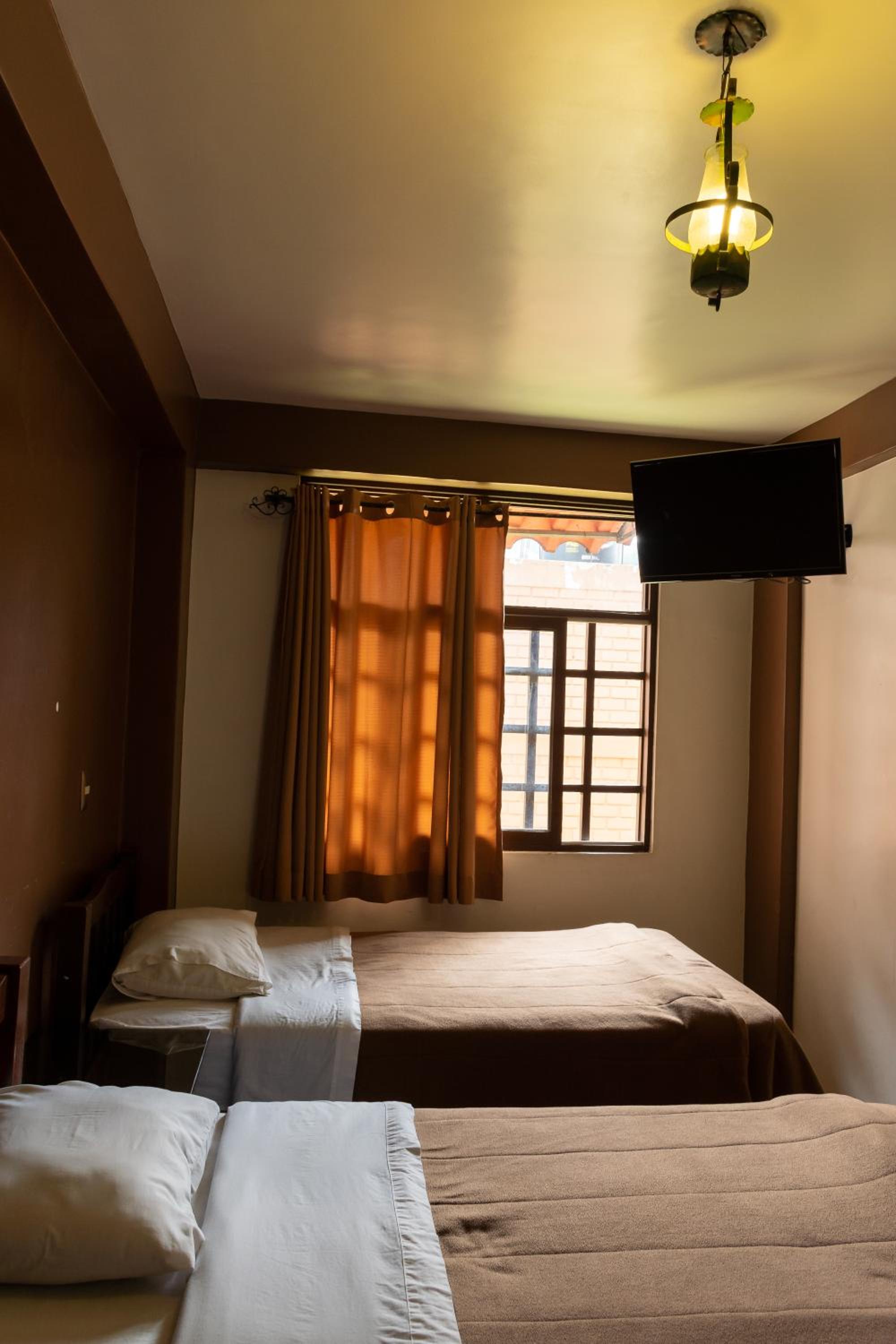 Twin Room photo 3