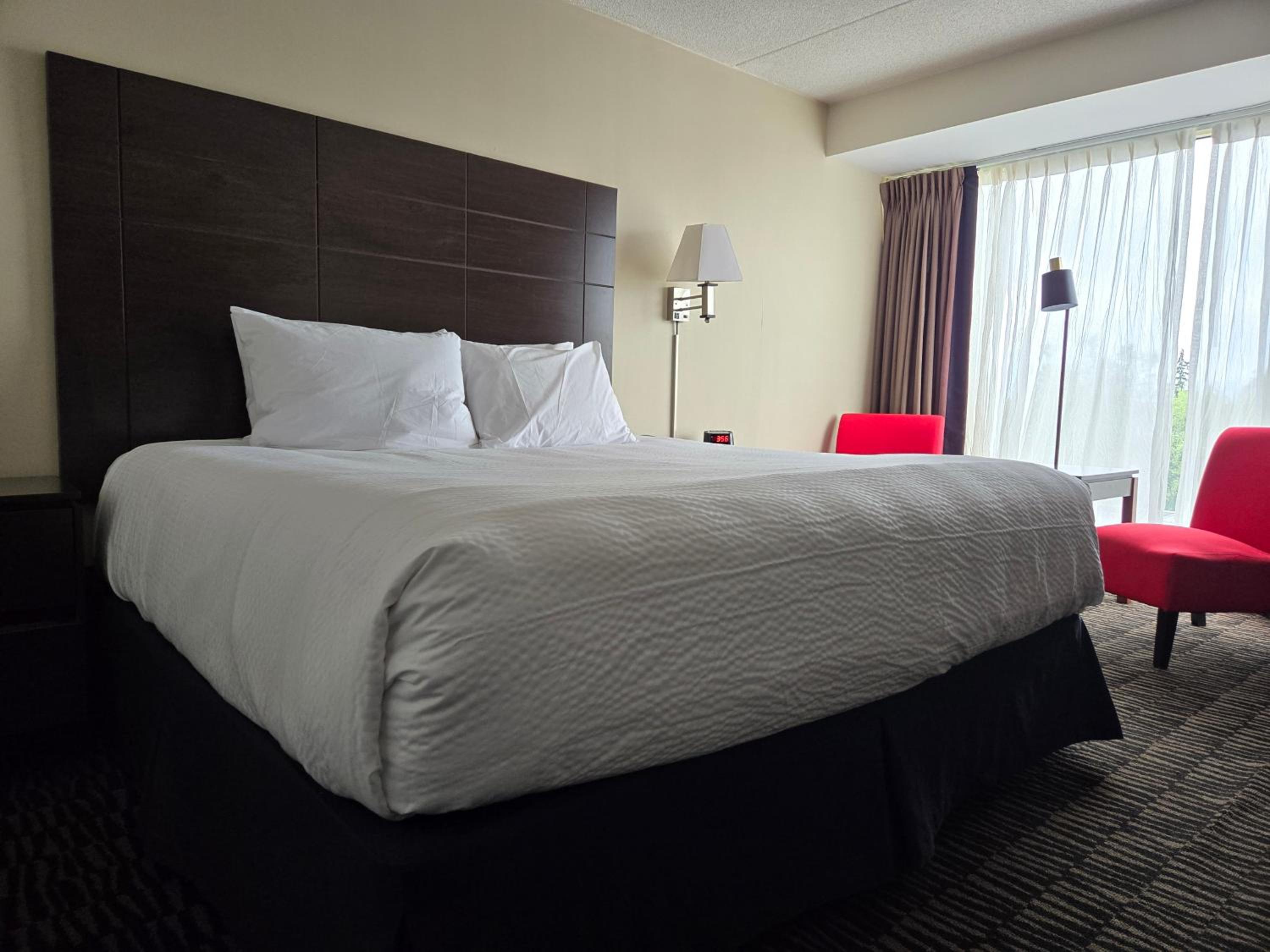 King Room with Sofa Bed - Disability Access